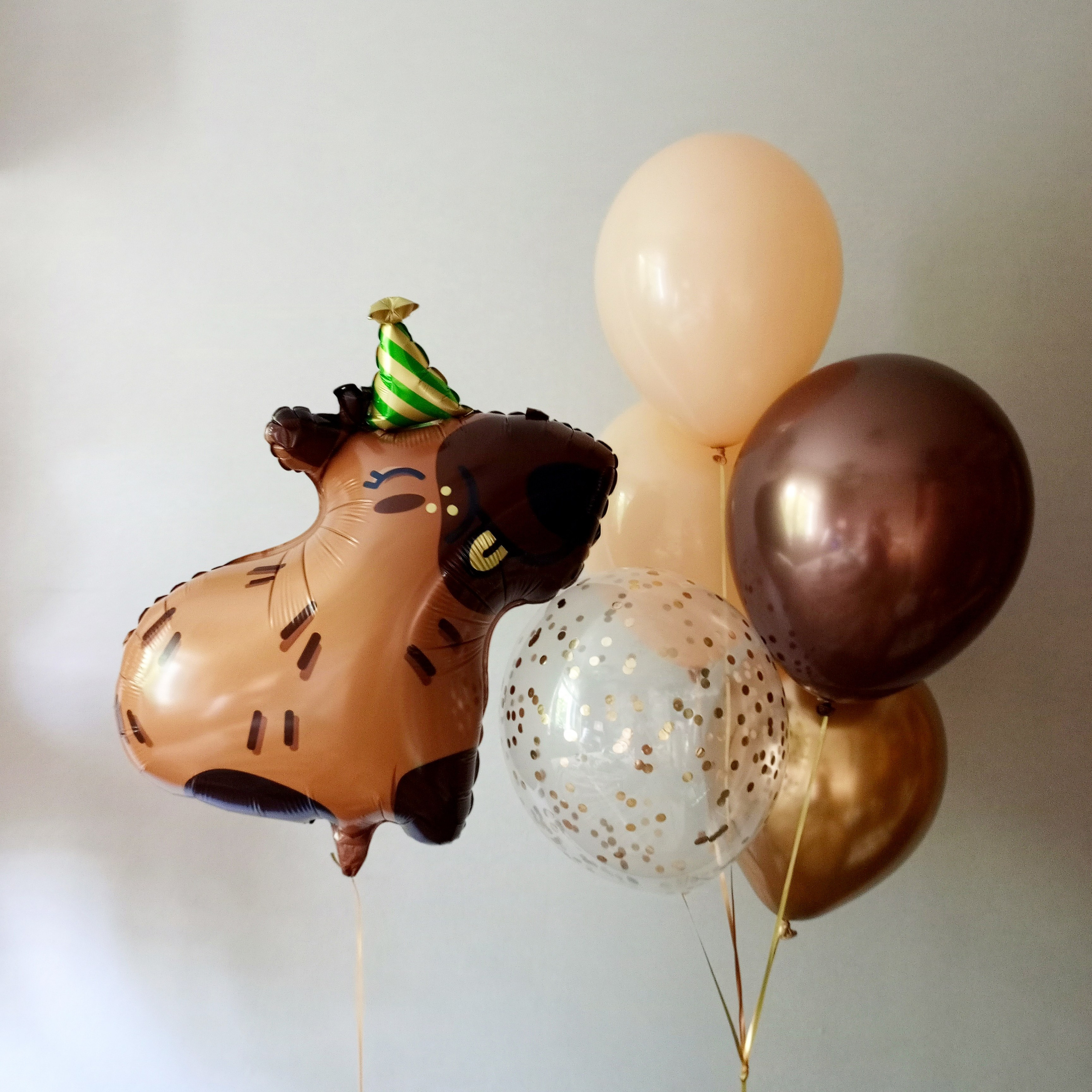 Девочке на день рождения с 4 до 17 лет. Аэродизайнер Елена Лин