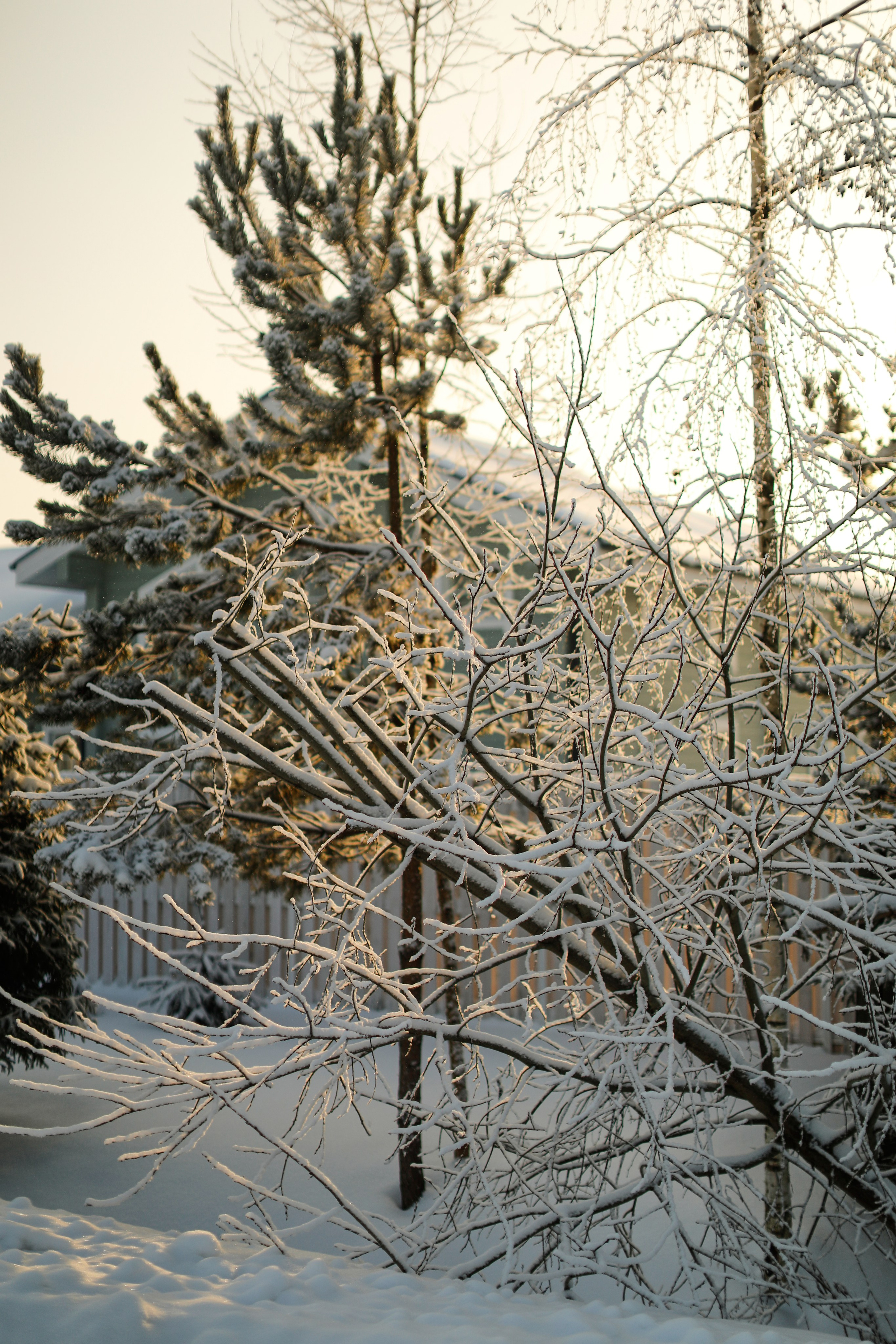 WINTER. Фотограф в Вологде Евгения Ли