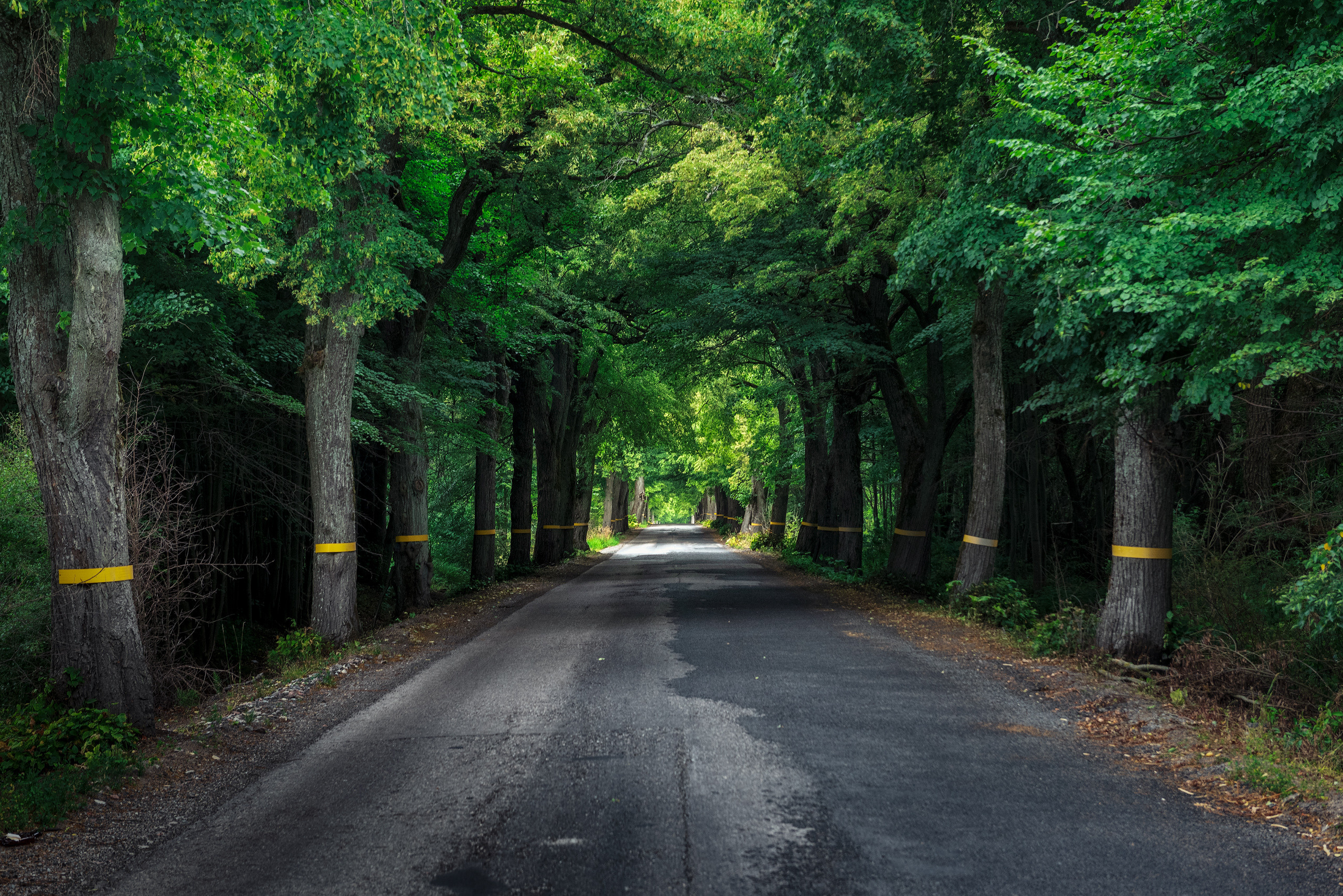 Дороги Калининградской области