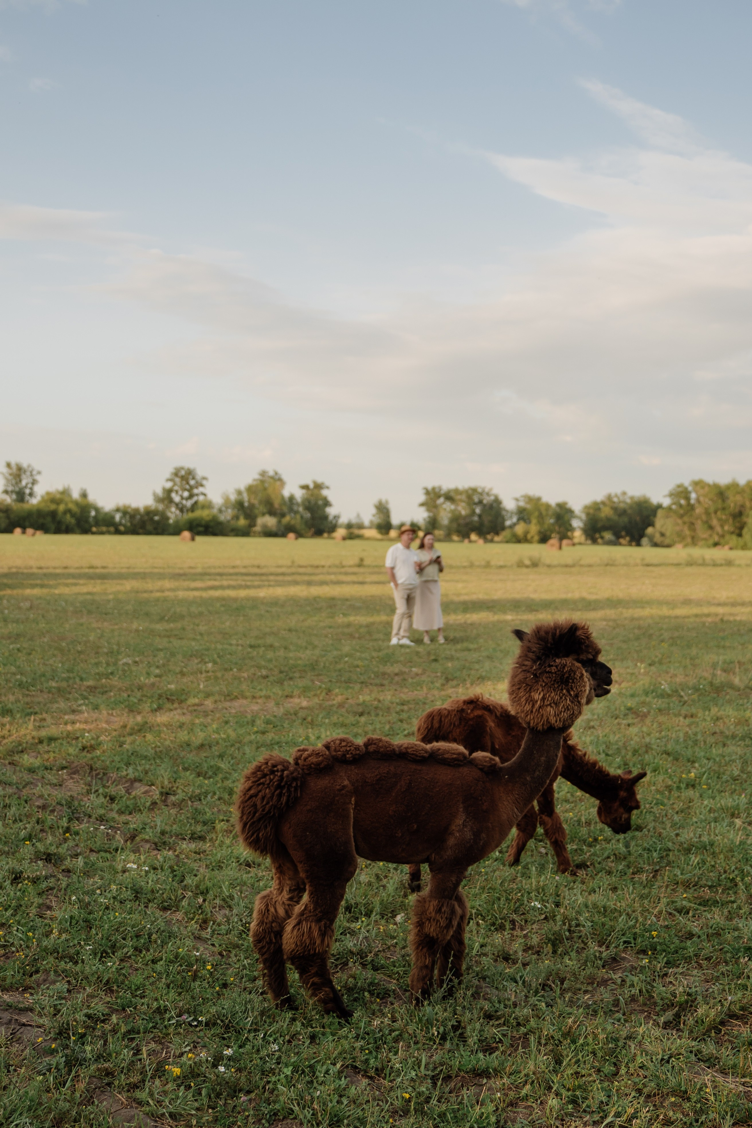 Где бы я не был, где бы ты не была, ты мое небо. Свадебный фотограф Тольятти Москва Адамова Виктория