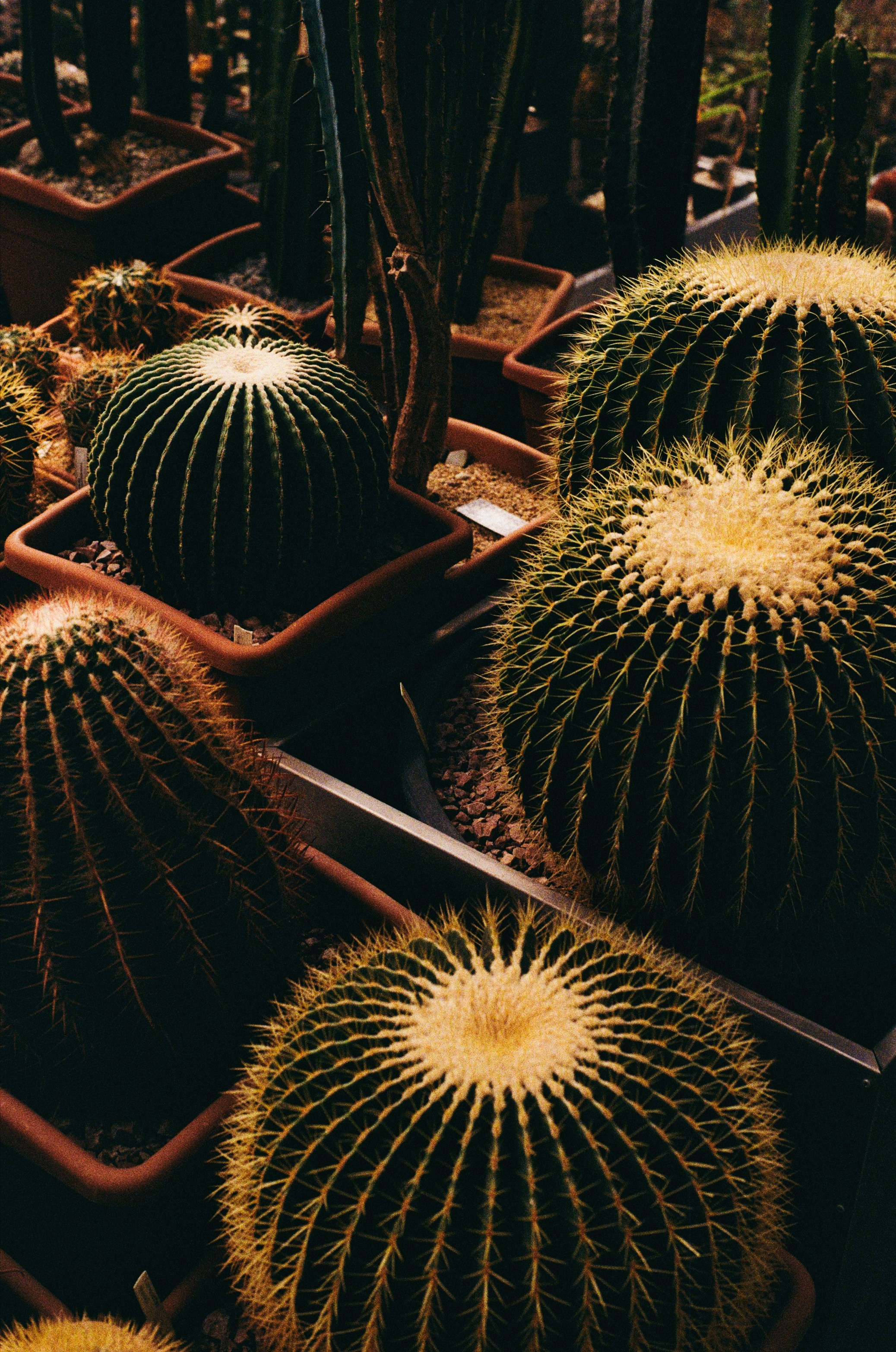Фотограф в Москве Александр Иванов