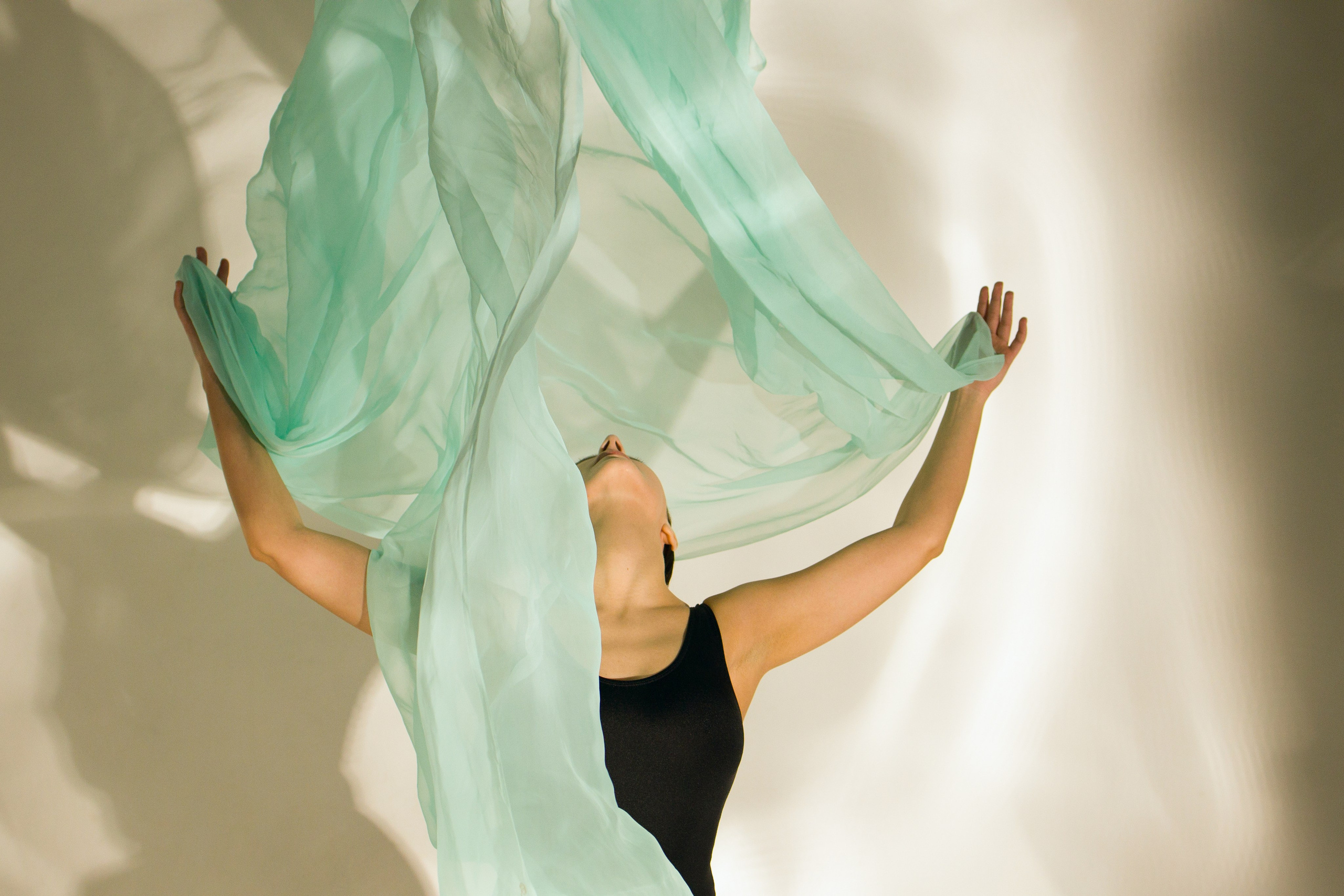 Лилия. Художественная фотография