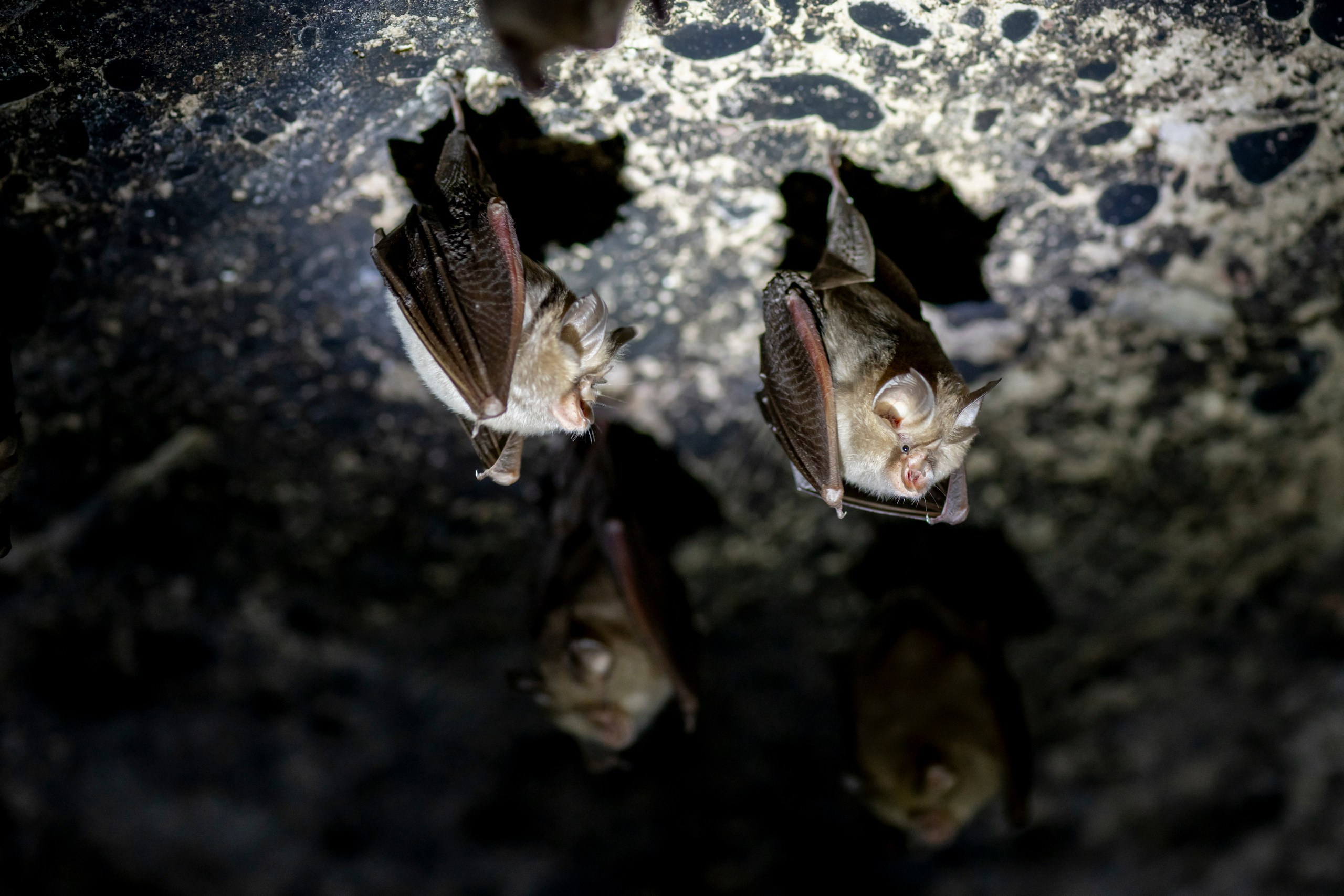 Природа Дагестана, сентябрь 2024. Foto-Zuev фотография как искусство