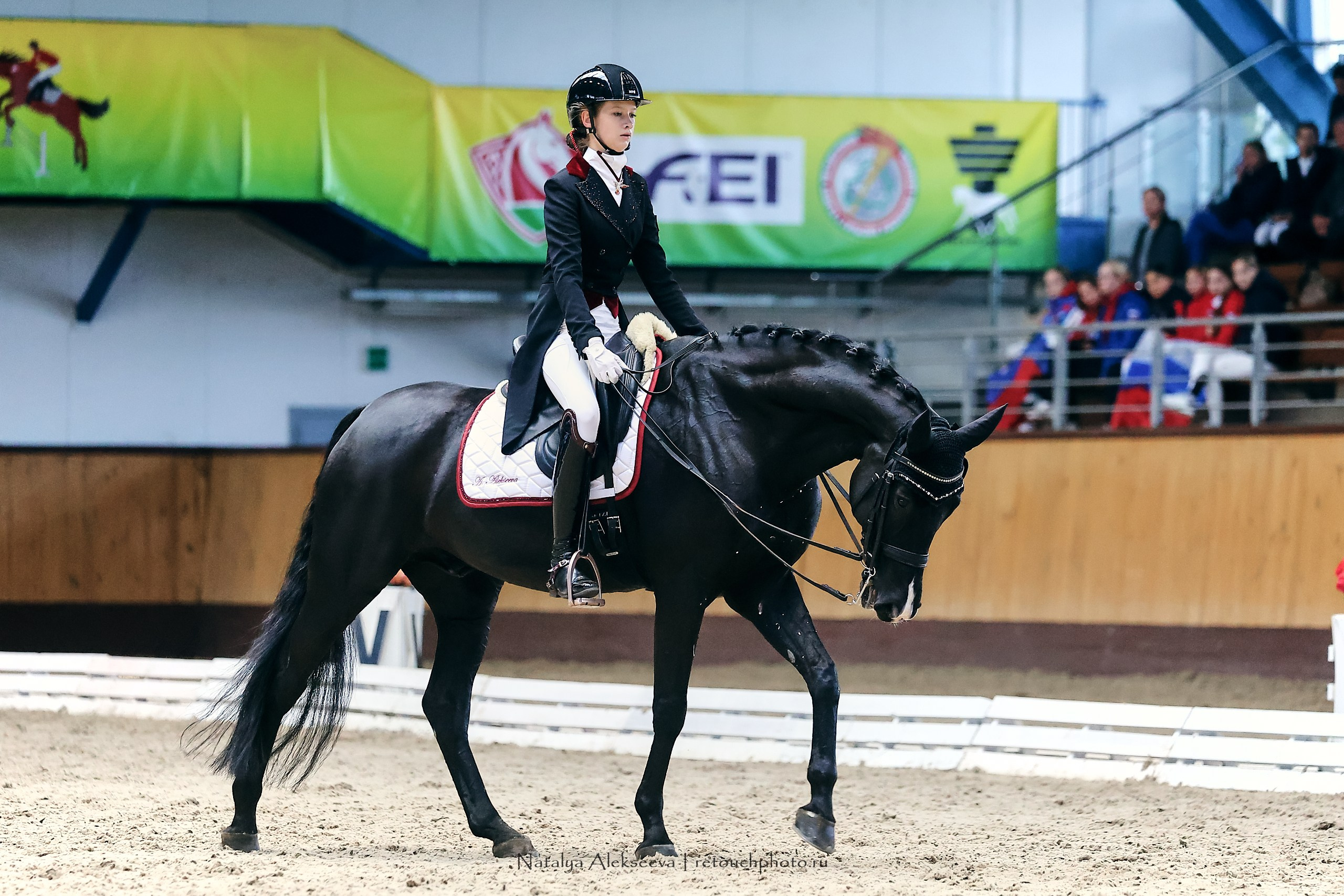 Звезды Евразии по выездке, Минск | 10'2023. Репортажный фотограф и ретушер в Москве Наталья Алексеева