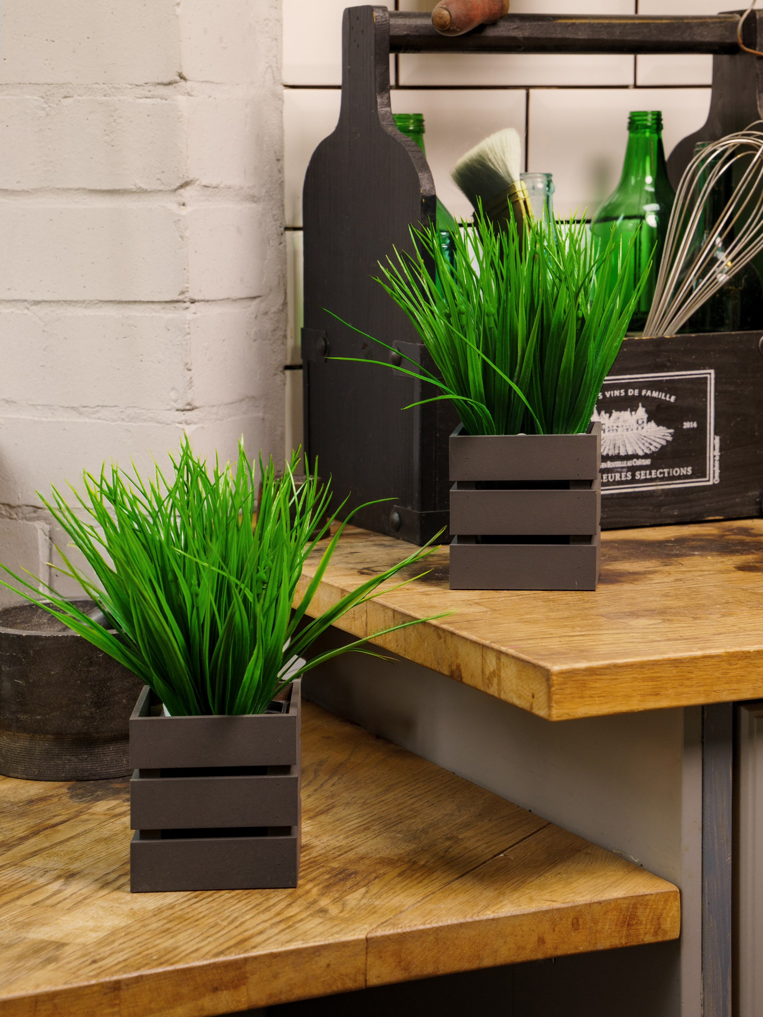 Кашпо. Макаров Сергей|Creamlebot Фотограф города Ростов-на-Дону