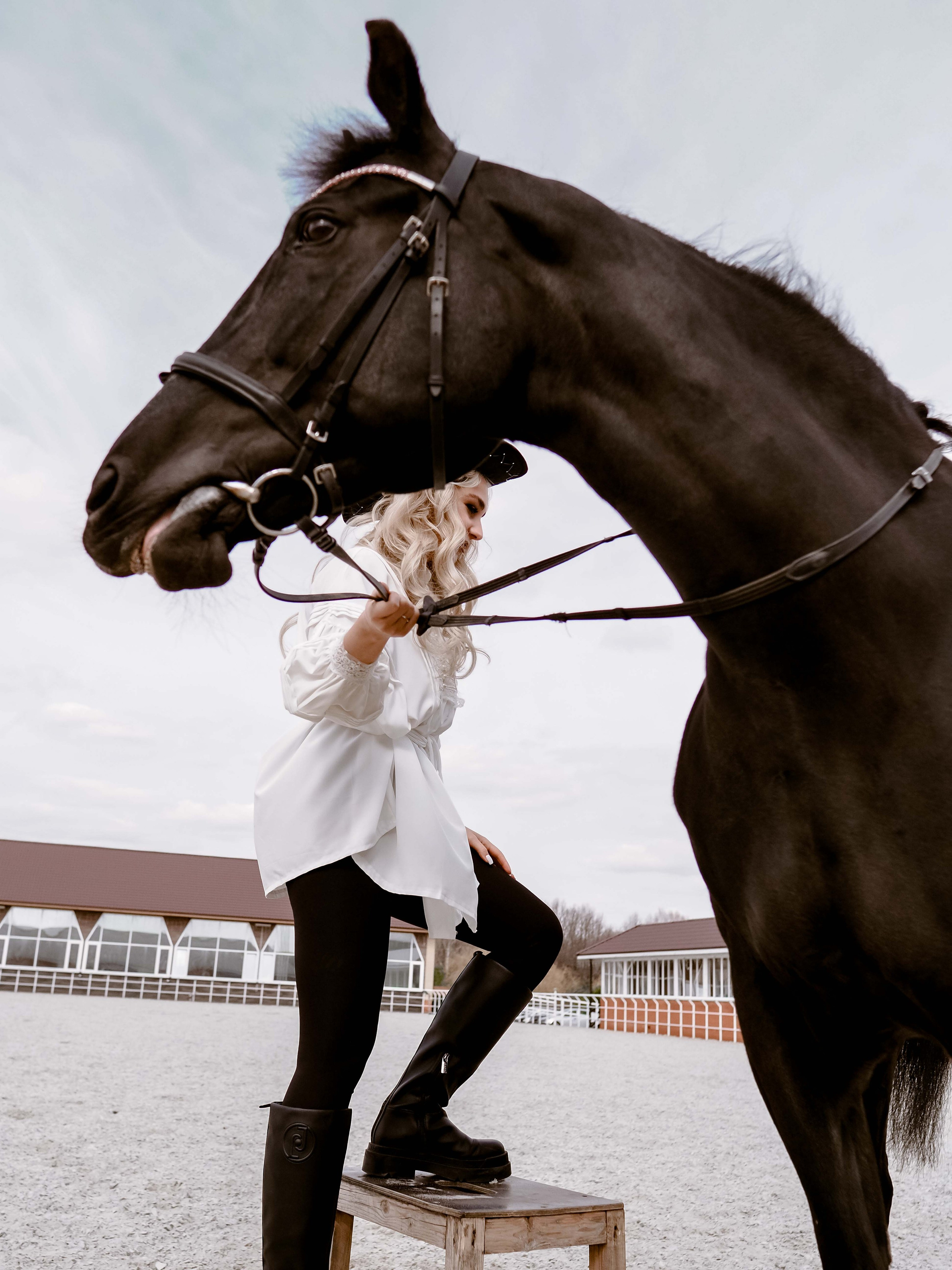 Фотопроект с лошадьми. Фотограф Рязань. Семейный Свадебный фотограф