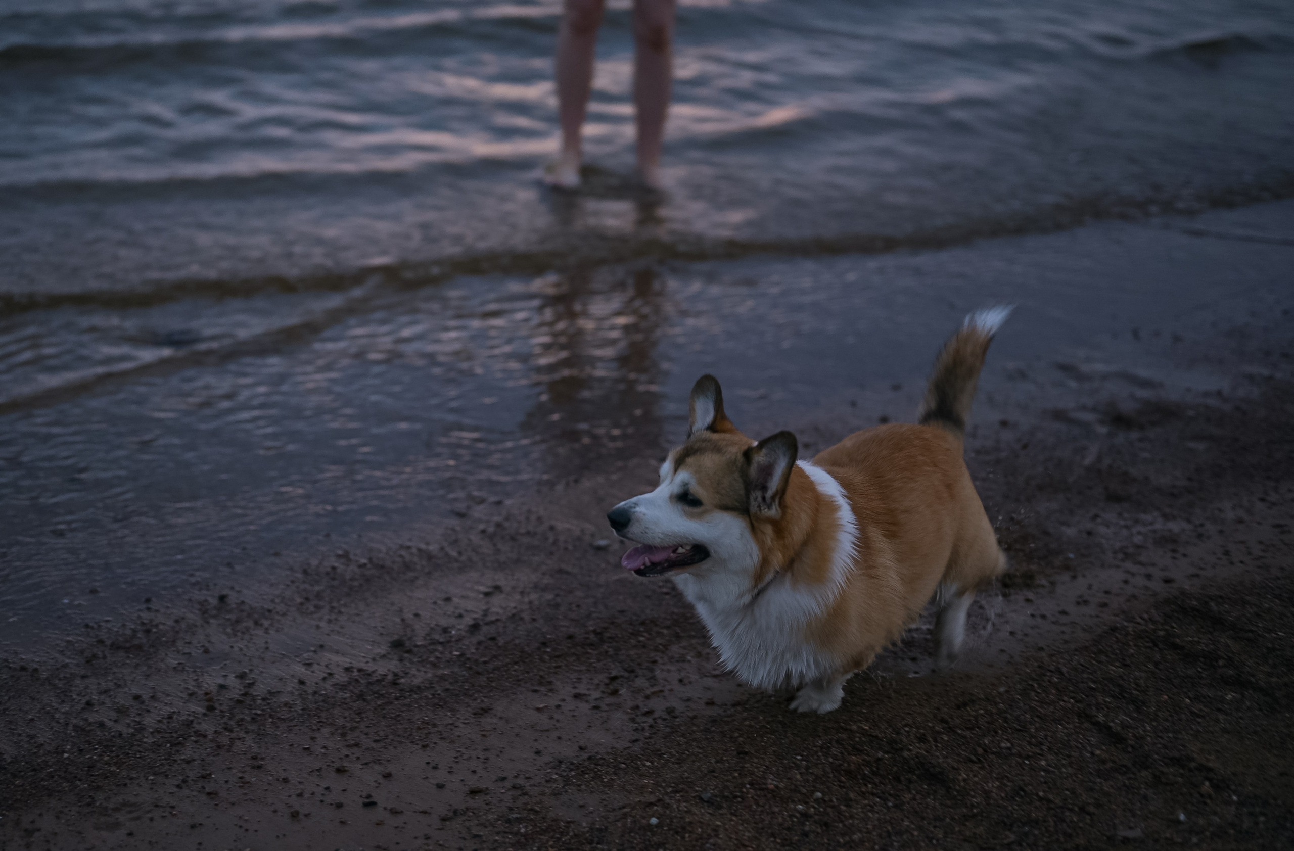 На побережье. ZDARONOKIA Репортажный фотограф