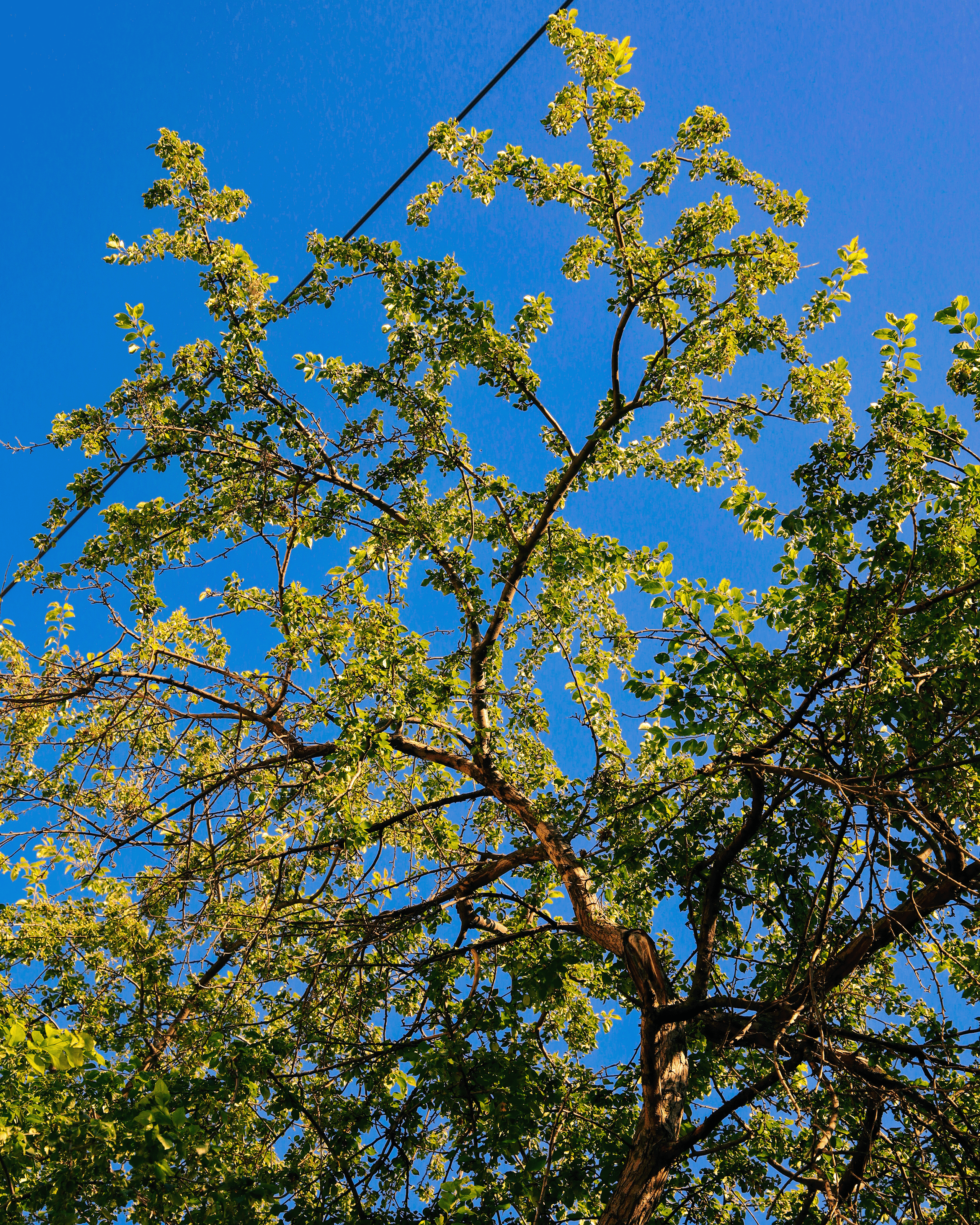 Summertime. Фотограф/дизайнер в Екатеринбурге Хитрый Дмитрий