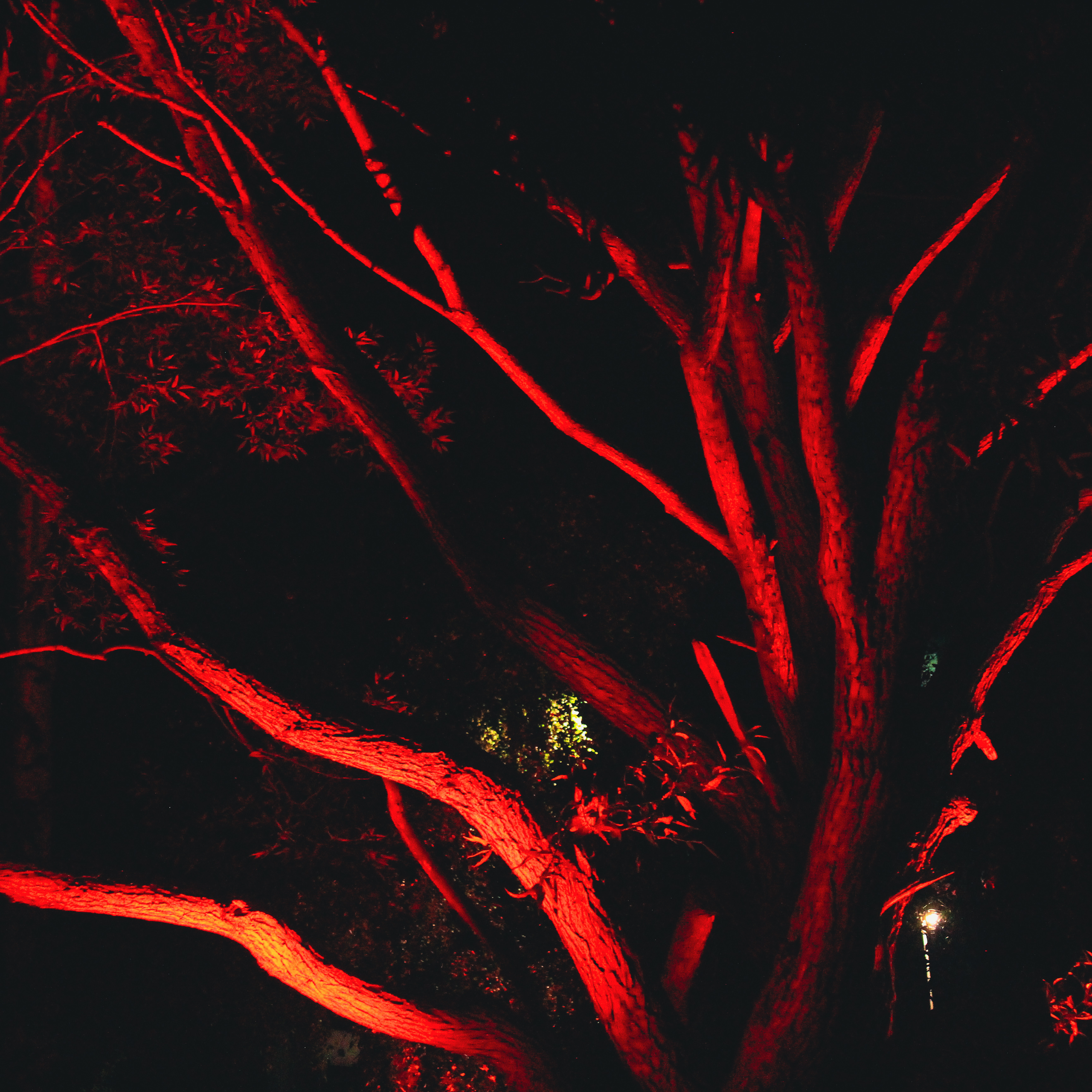 Summertime. Фотограф/дизайнер в Екатеринбурге Хитрый Дмитрий