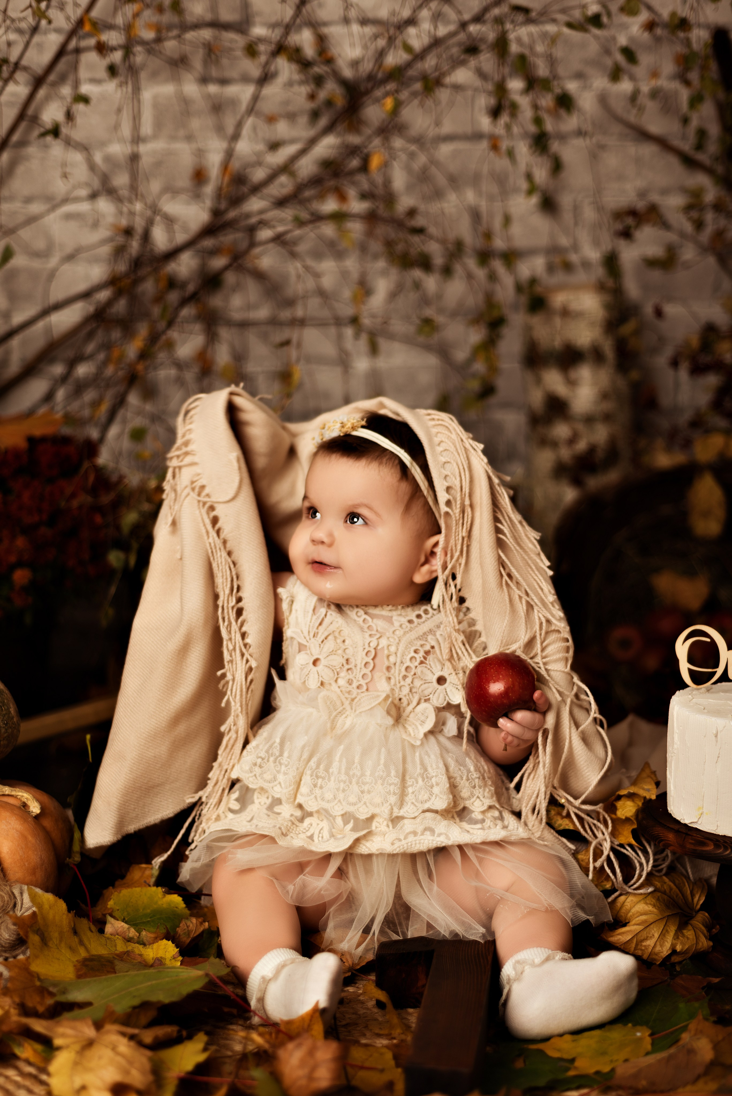 Цены. Детский и семейный фотограф в Люберцах Татьяна Ткаченко