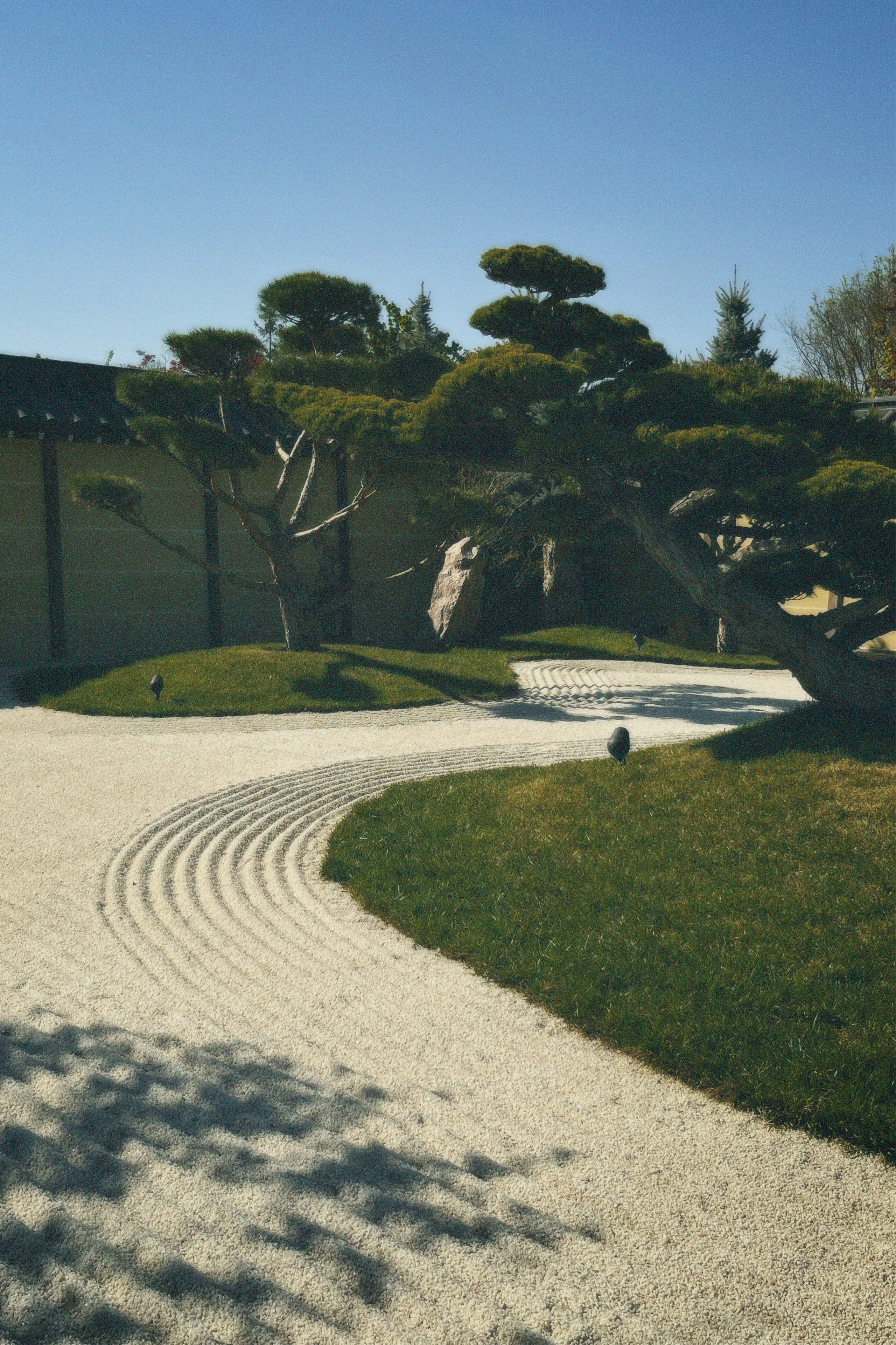 КРАСНОДАР. Портретный и лавстори фотограф в Стерлитамаке Альбина Шарт