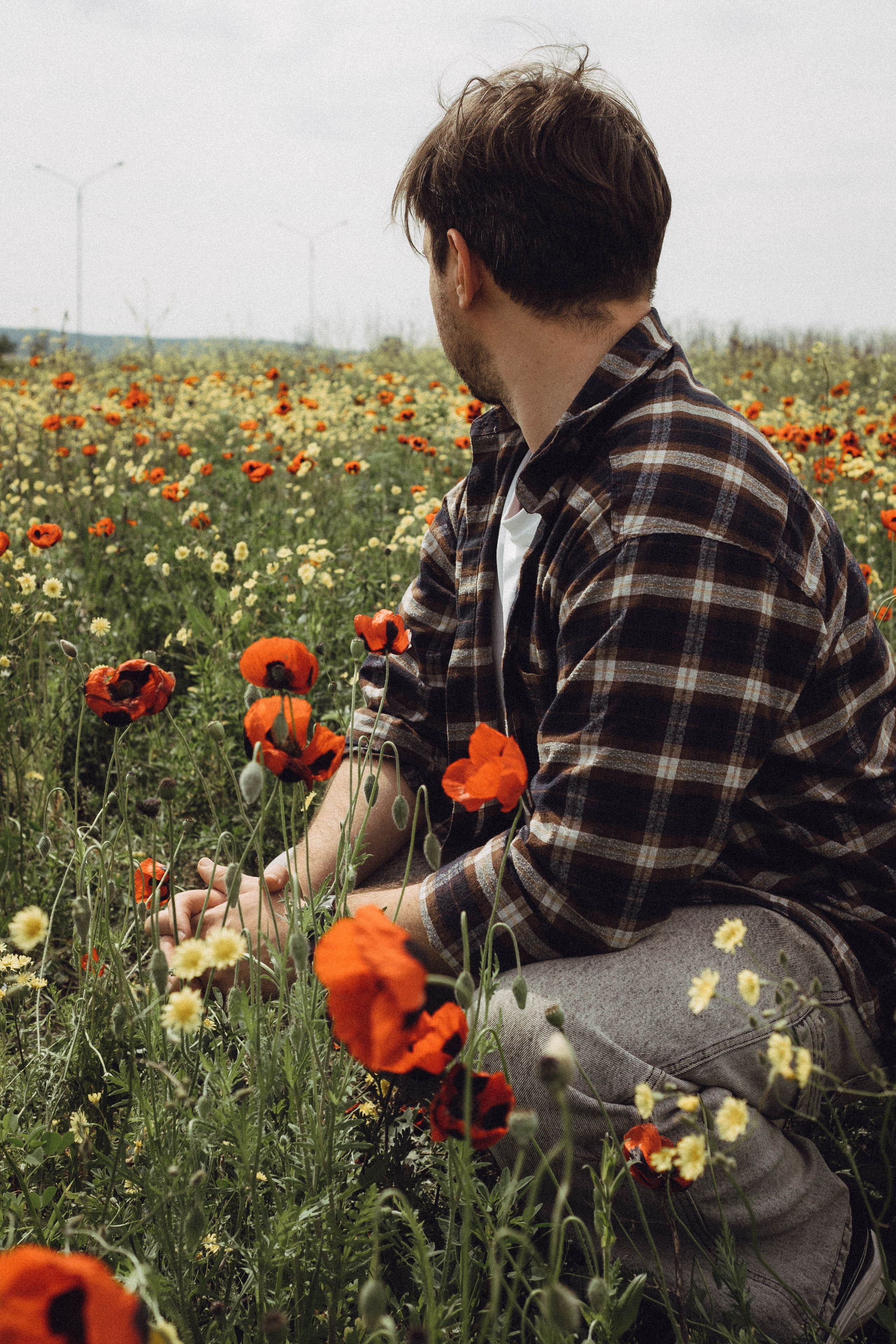 Маки. Профессиональный фотограф, Санкт-Петербург — Виктория Богомолова