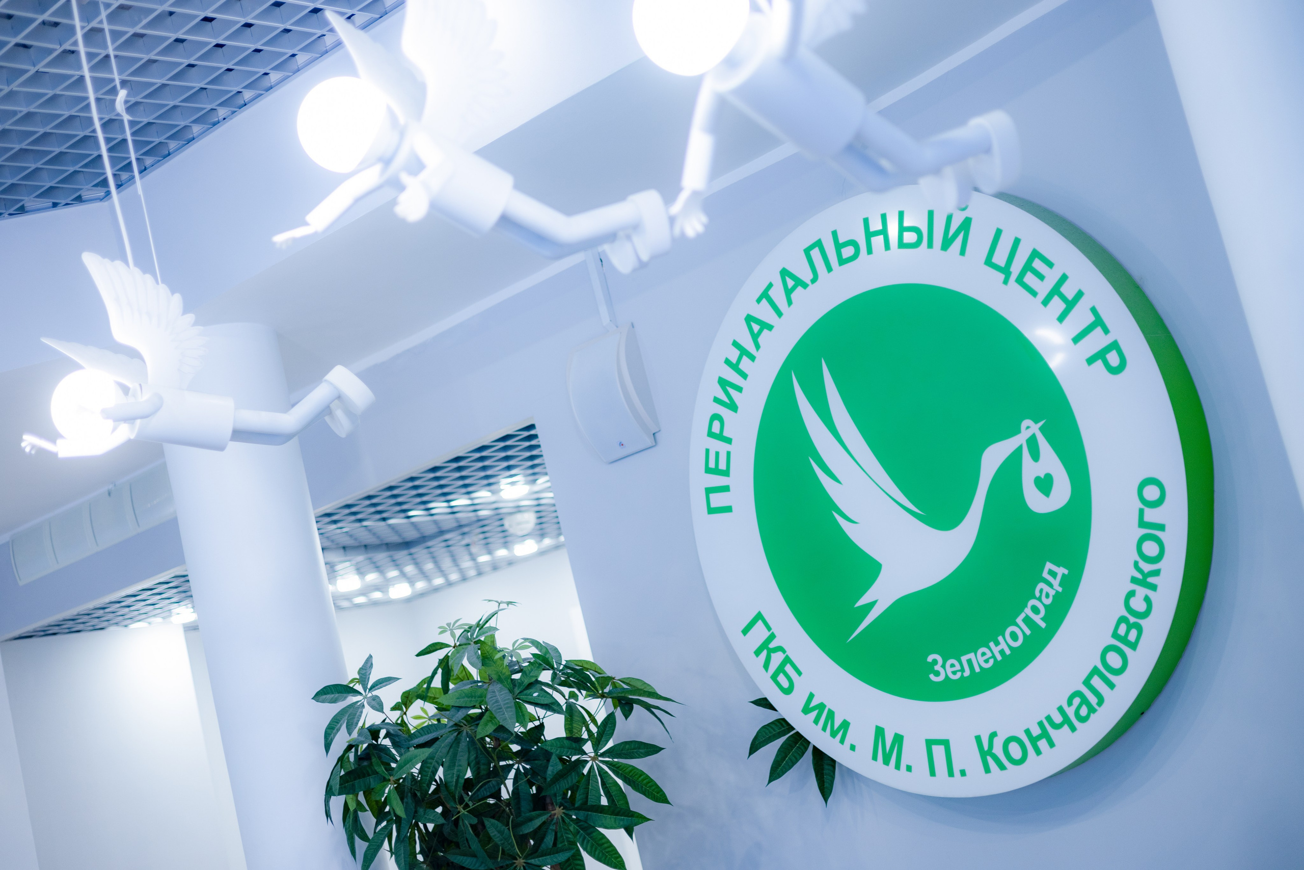 Выписка Павла. Детский и семейный фотограф Евгения Вахнеева Москва Зеленоград