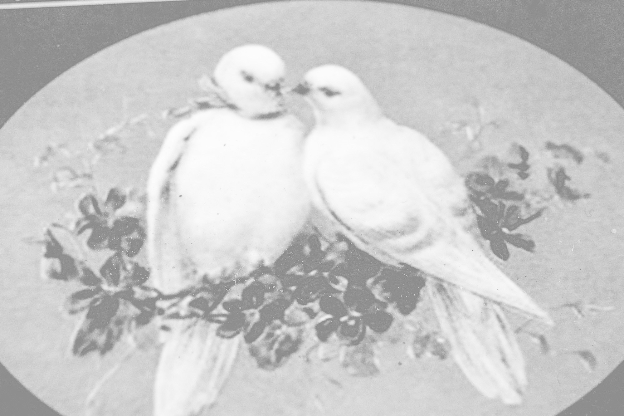 По ту сторону зимы. Женский семейный фотограф Тула Москва Захарова Анна