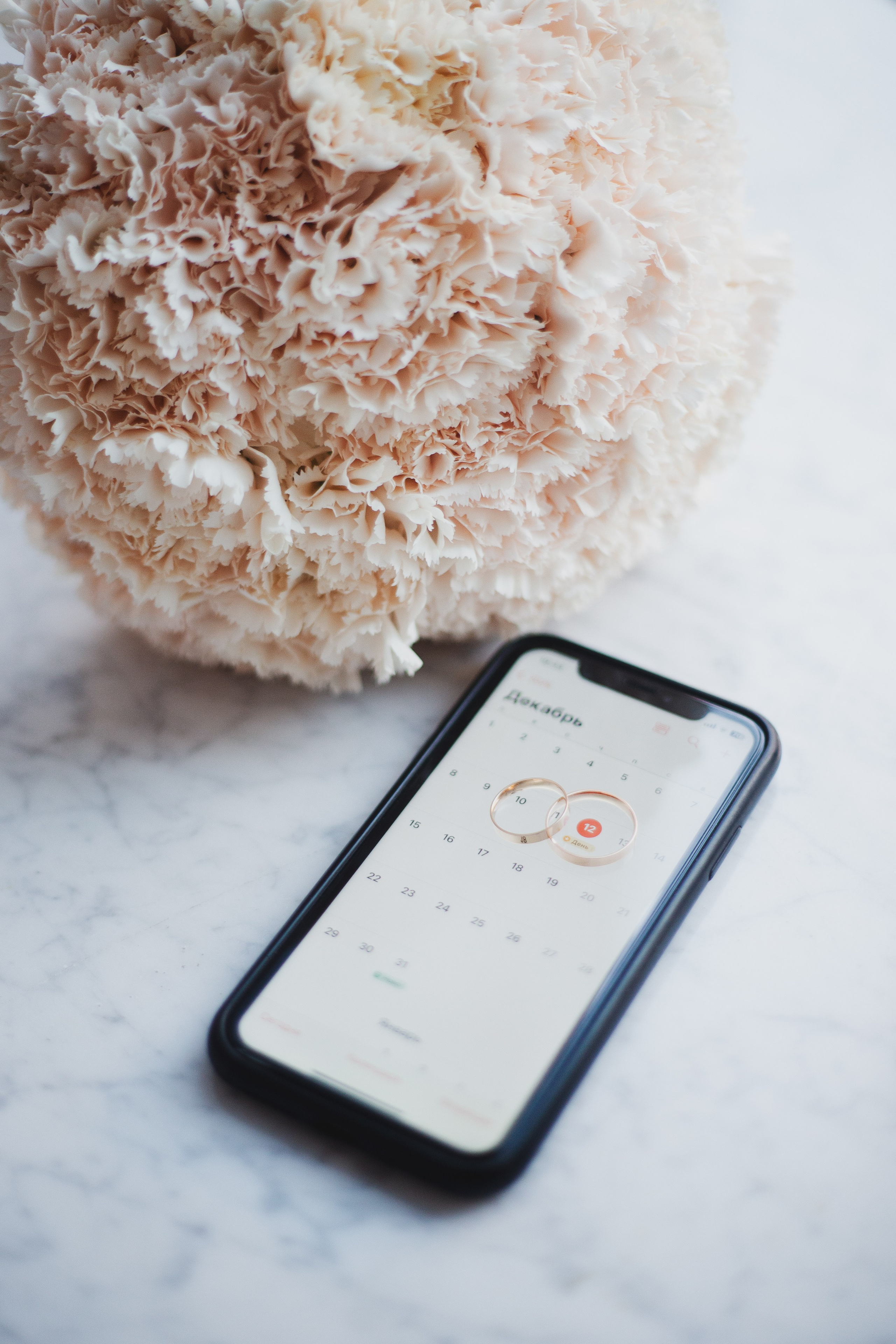 11.12.25. Главная