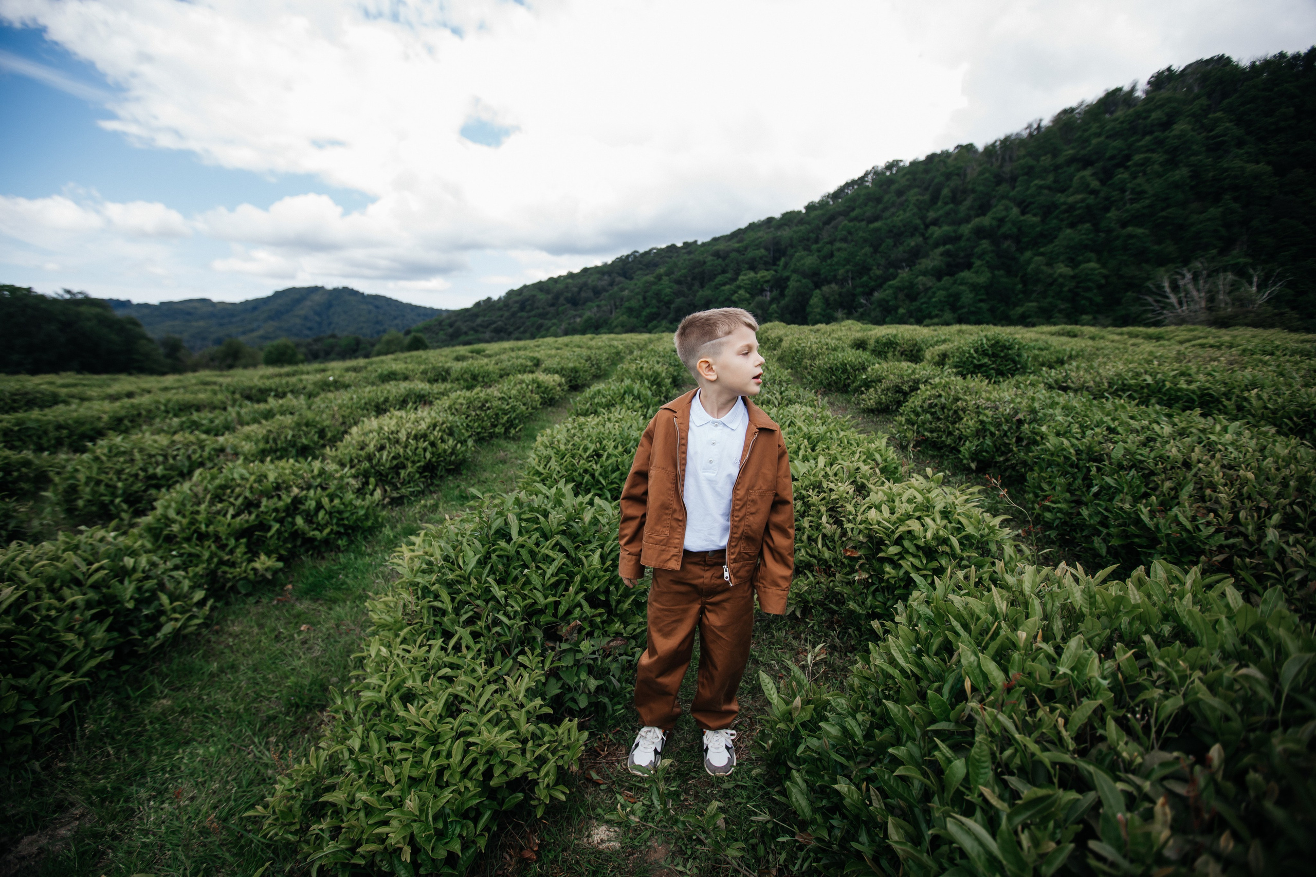 Tea plantation. Efimova Model Agency