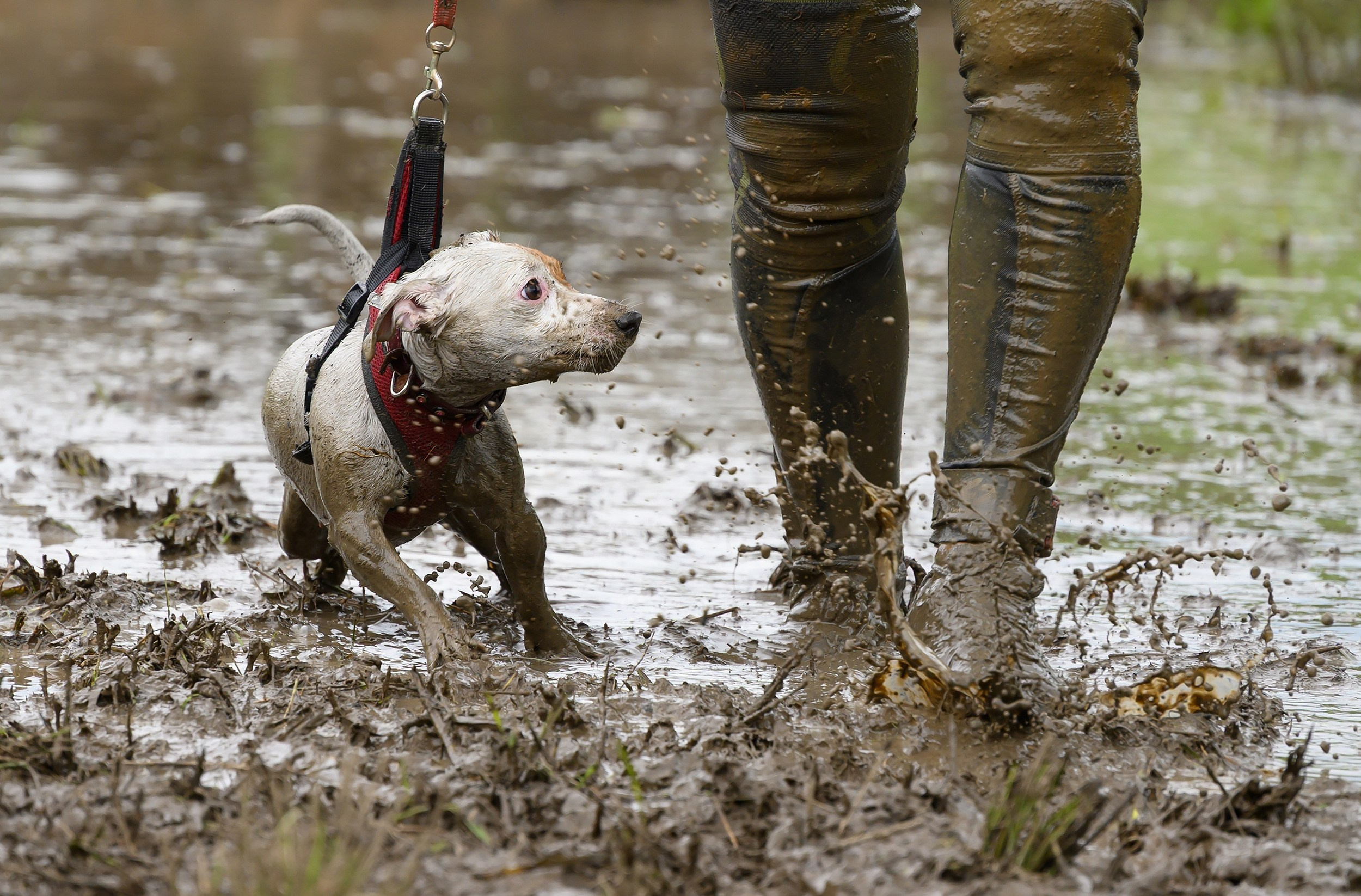 О, спорт…. Фотограф в Уссурийске и всем Приморье