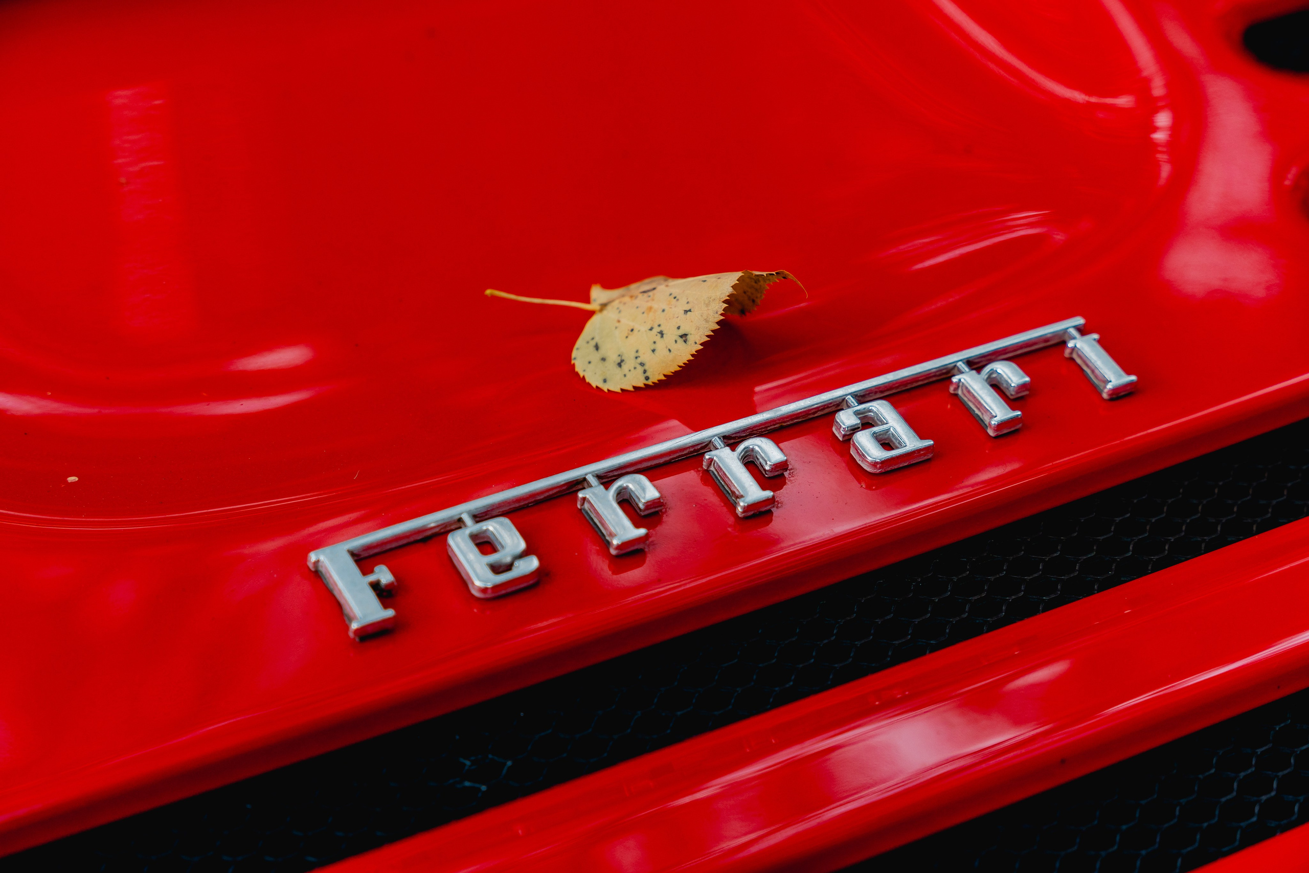 Автокультура. Архангельское. Станислав Тюрин Фотограф Москва. Индивидуальные и семейные фотосессии;