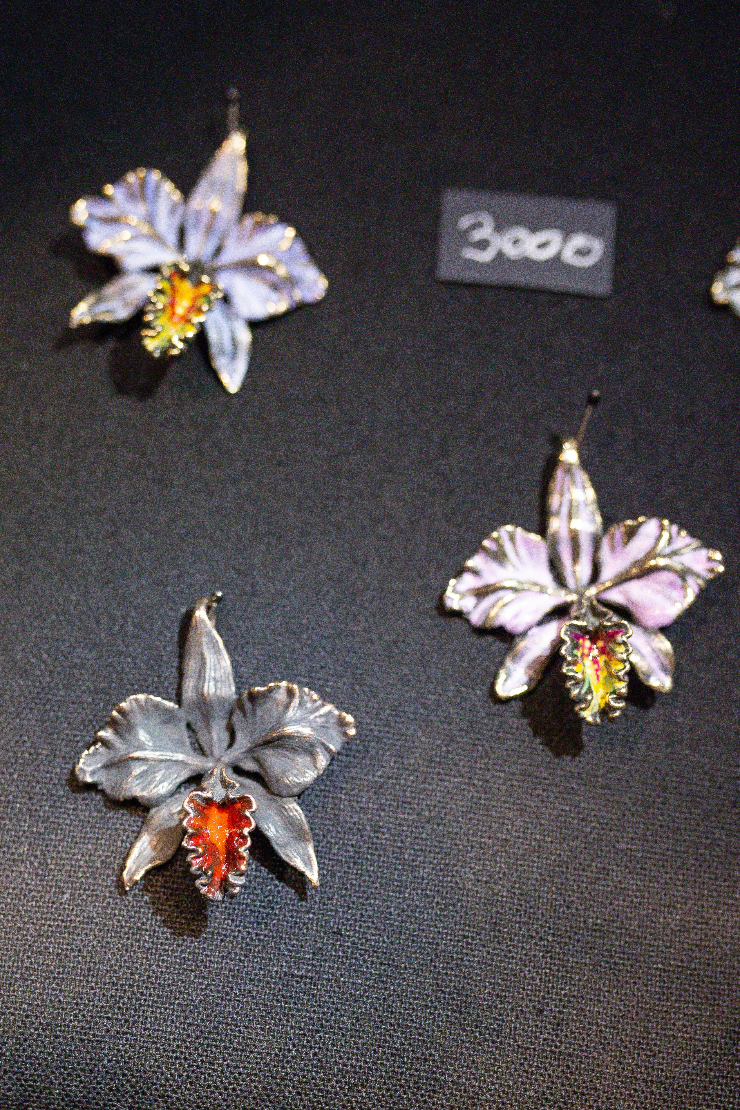 Монстериум 11–12 октября. Александра Куликова фотограф, Москва