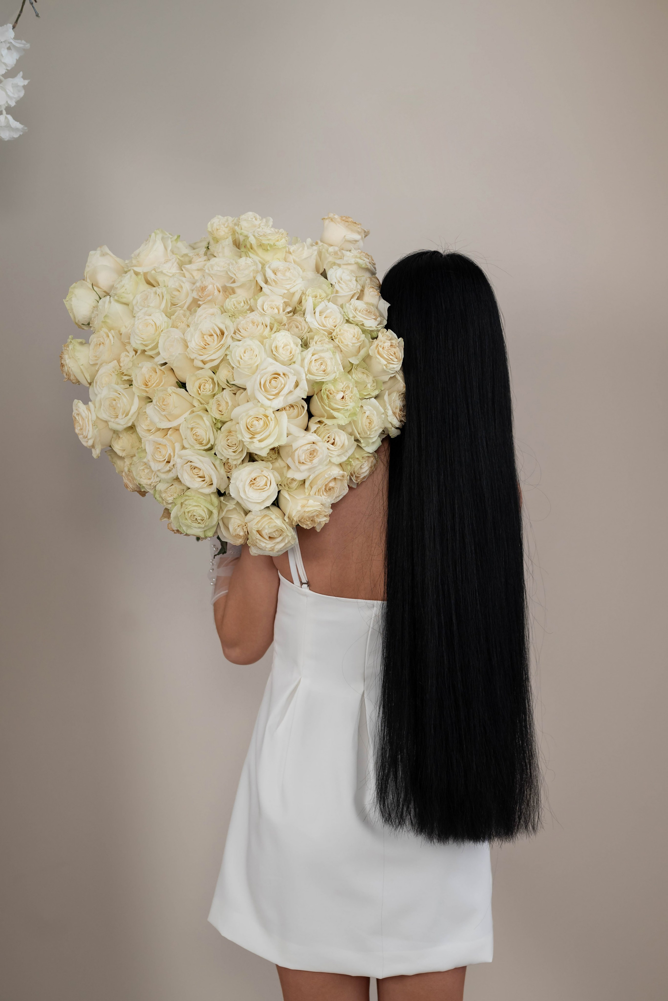 Фотопроект 101 белая роза 2026 год. Фотограф в городе Салават