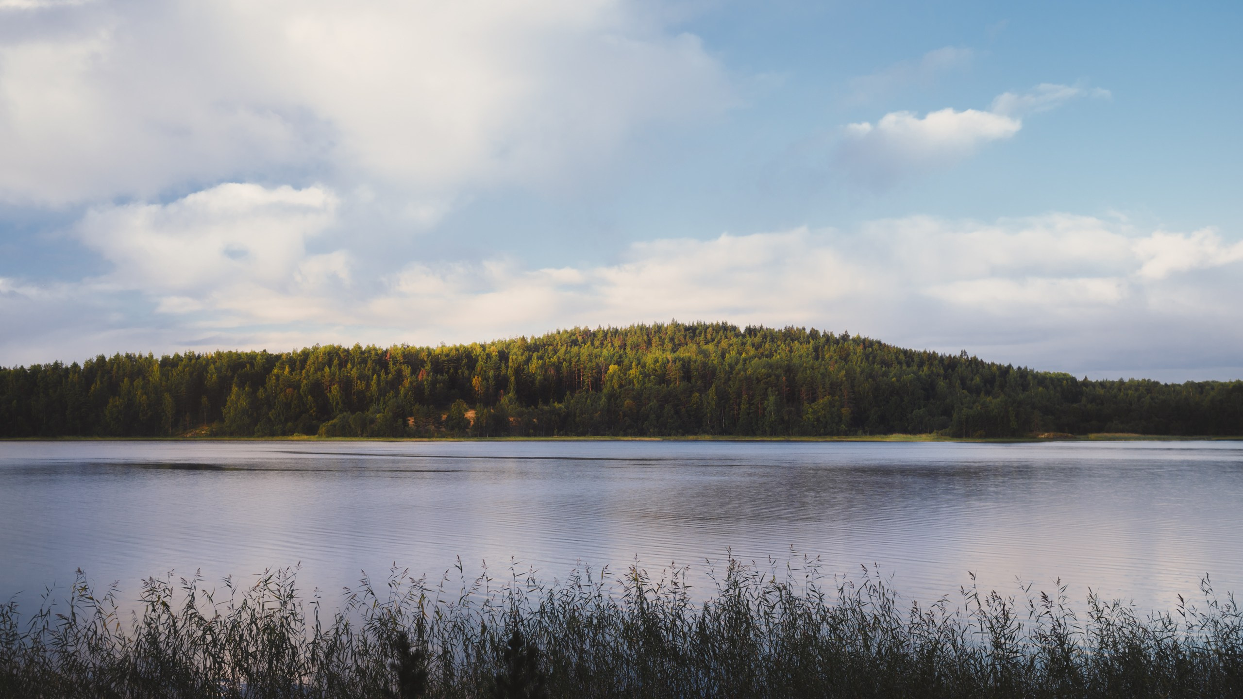 Карелия. Komonev