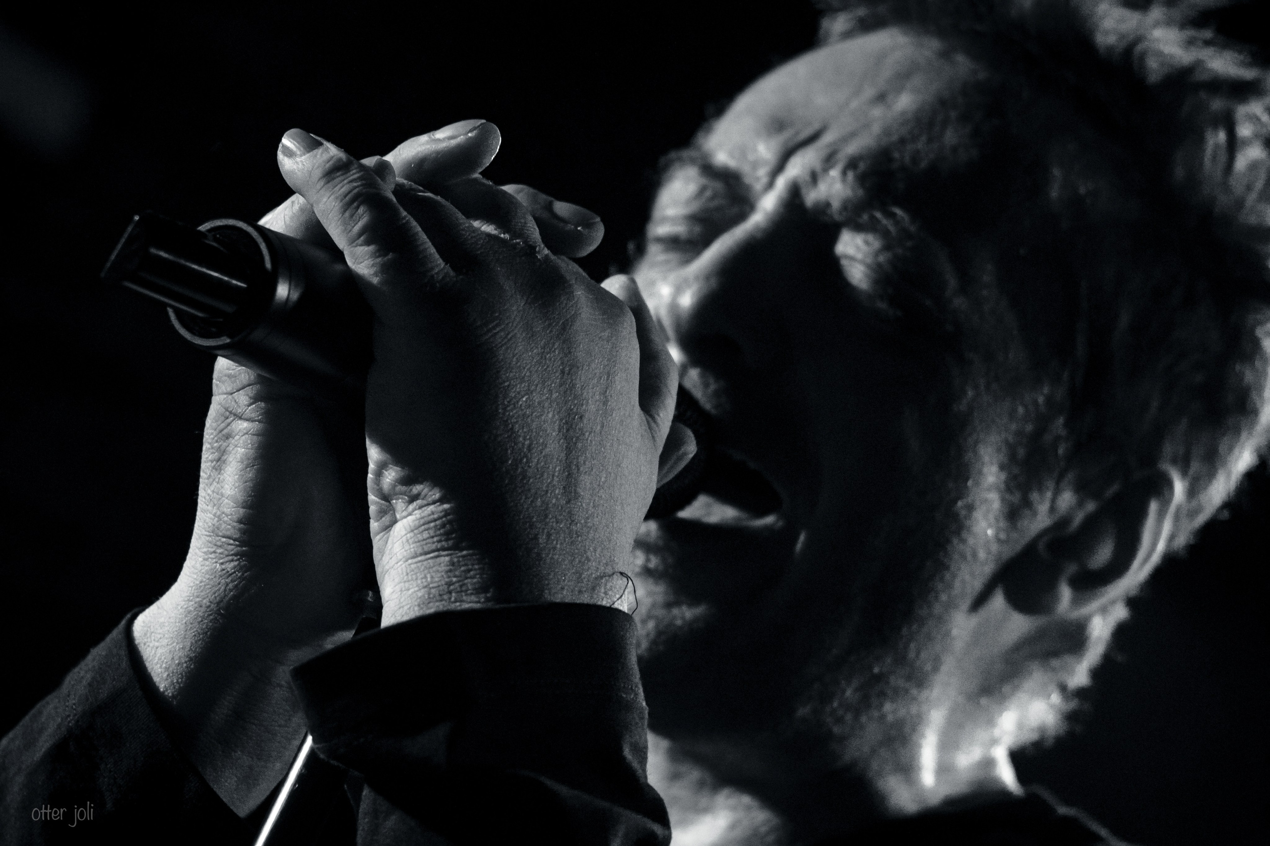 Глеб Самойлов. Концертный репортёр Валерия Сафина