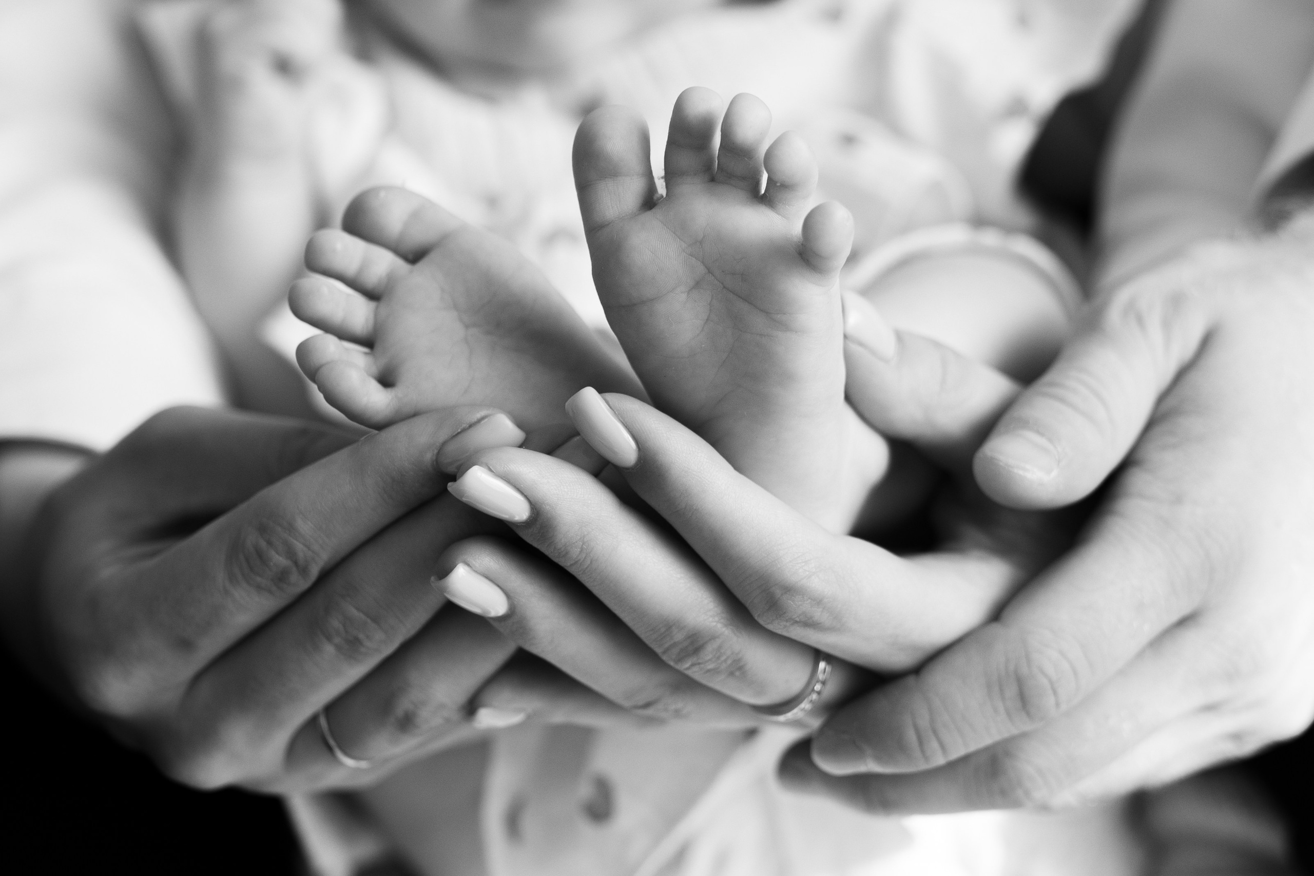 Катя, Ваня и Аня, студия Зефир. Свадебный фотограф | Москва