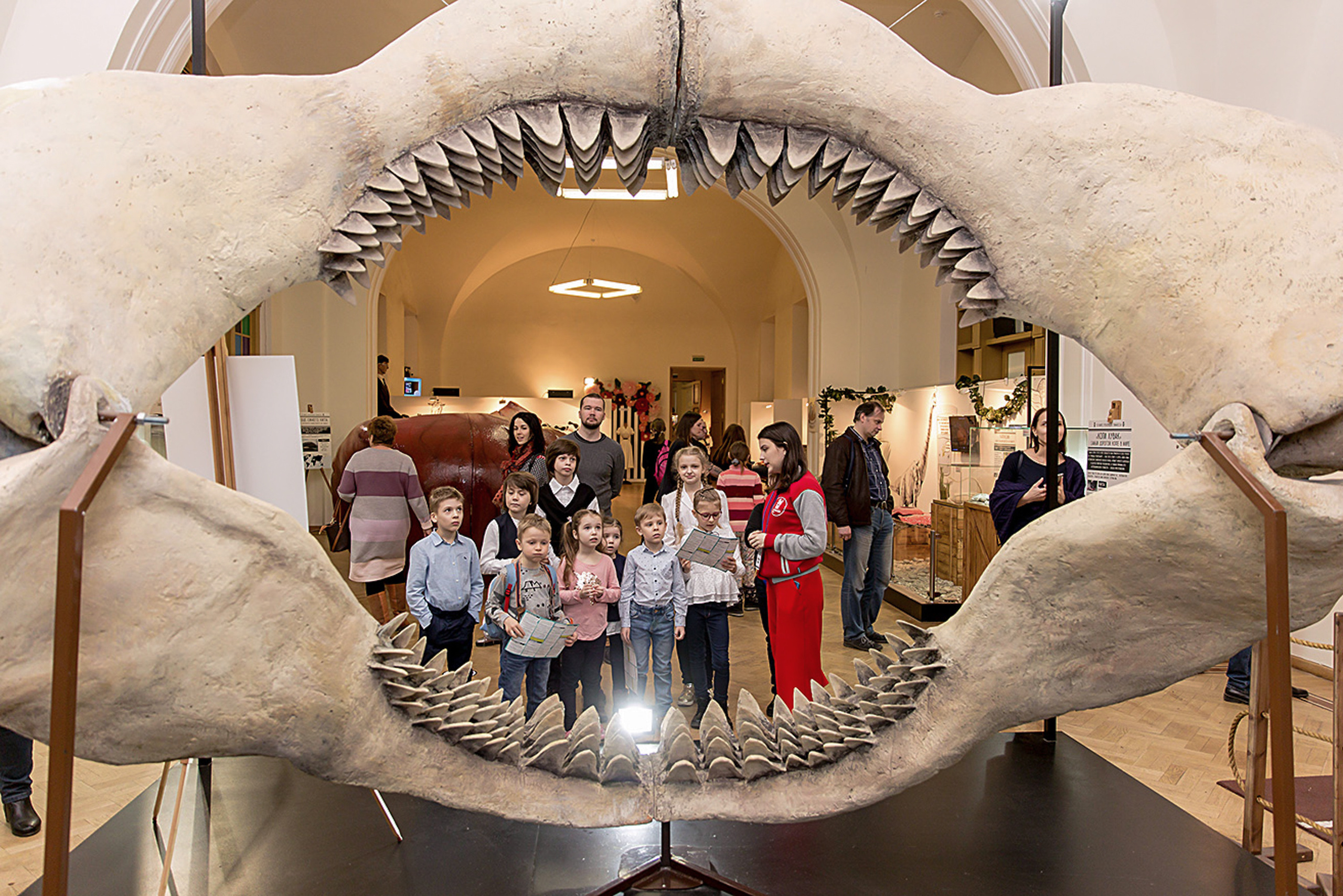 Фотосъёмка детских праздников в Санкт-Петербурге. Фотограф на праздник, корпоратив, День Рождения и Юбилей в г. Санкт-Петербурге Алексей Анкушев