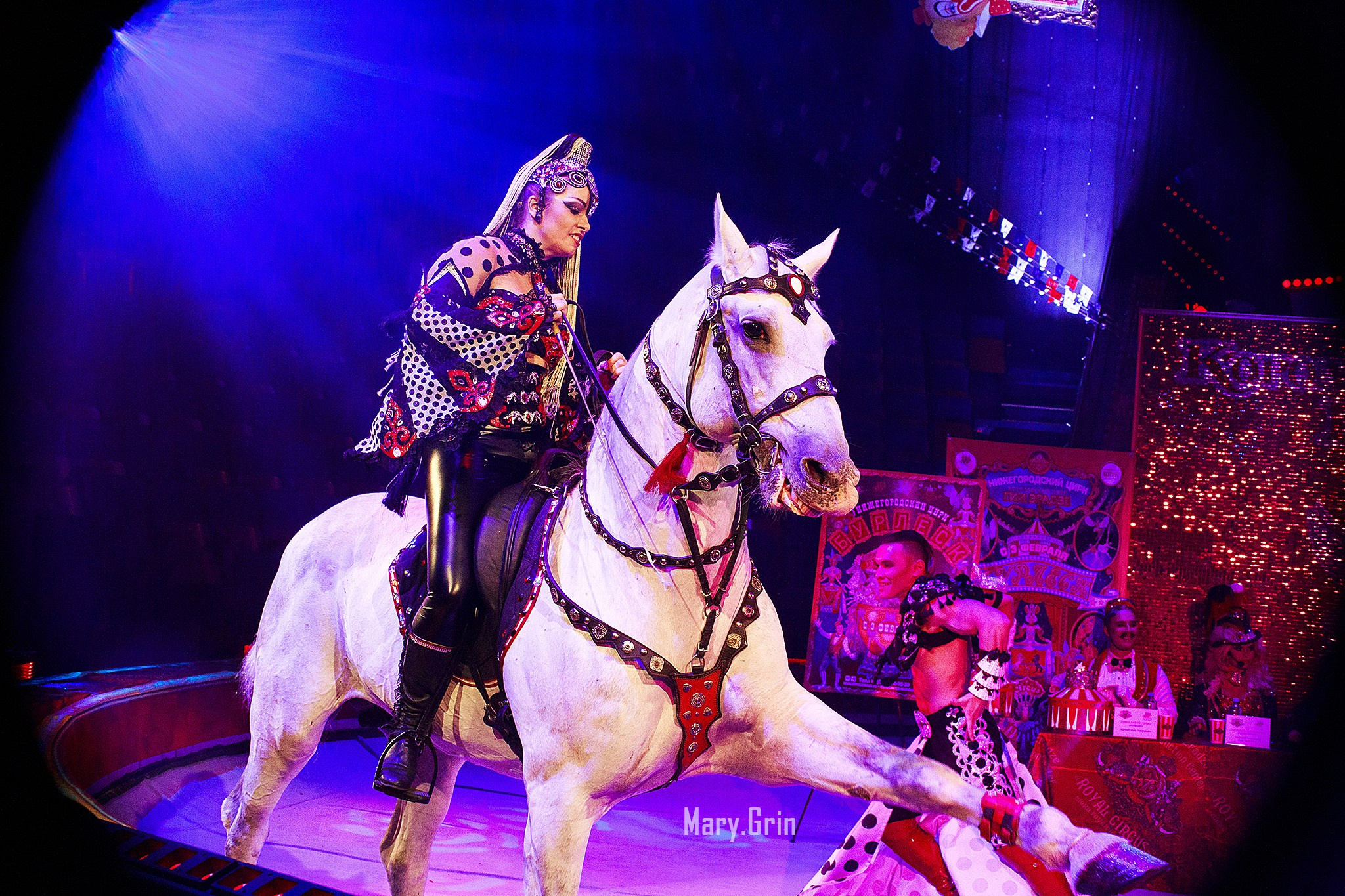 Цирк Гии Эрадзе. Детский и семейный фотограф, фотограф мероприятий Нижний Новгород