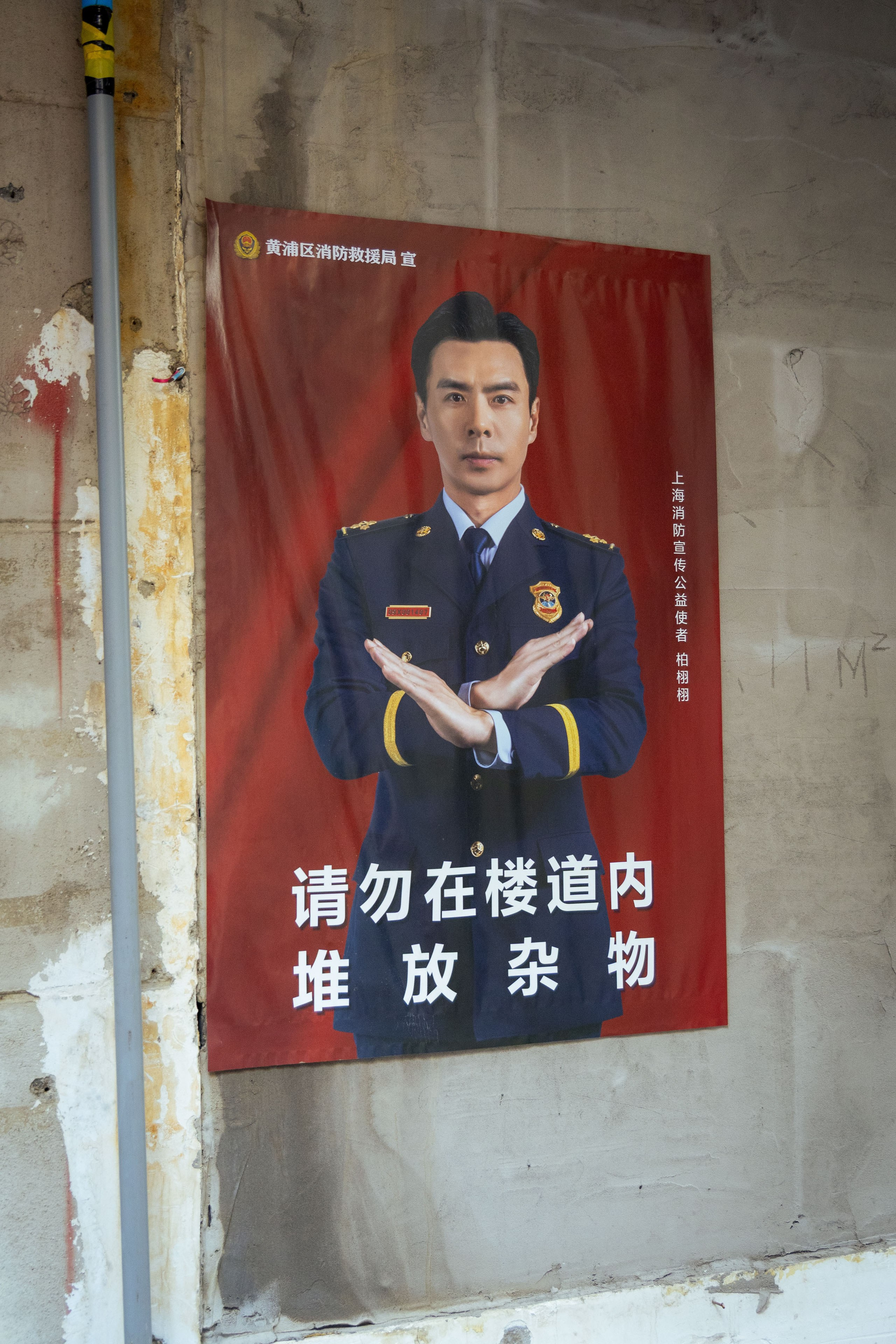 Шанхай (март 2026). Фотограф Виноградов Константин