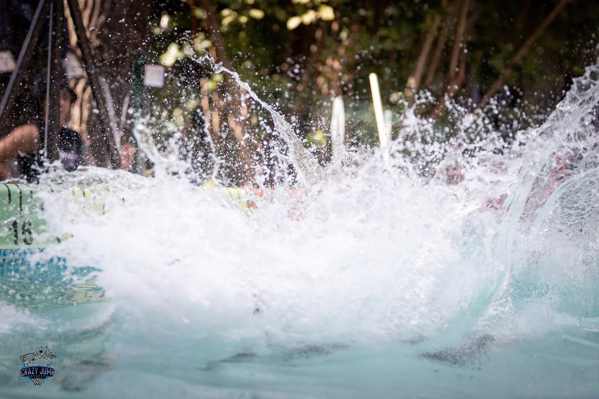 Собаки, спорт, Док дайвинг. Свадебный и репортажный фотограф в Москве и Московской области