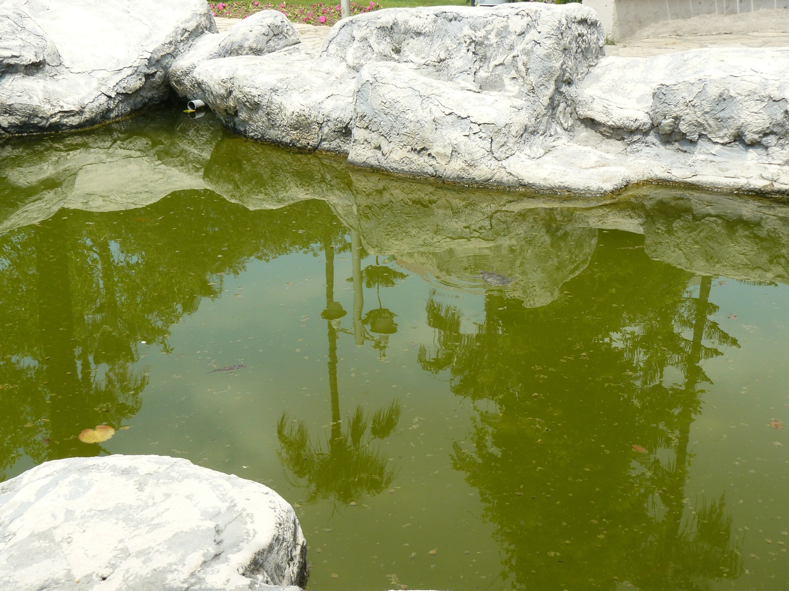 Алания 2015 порт и парк. Фотопрогулки по Миру