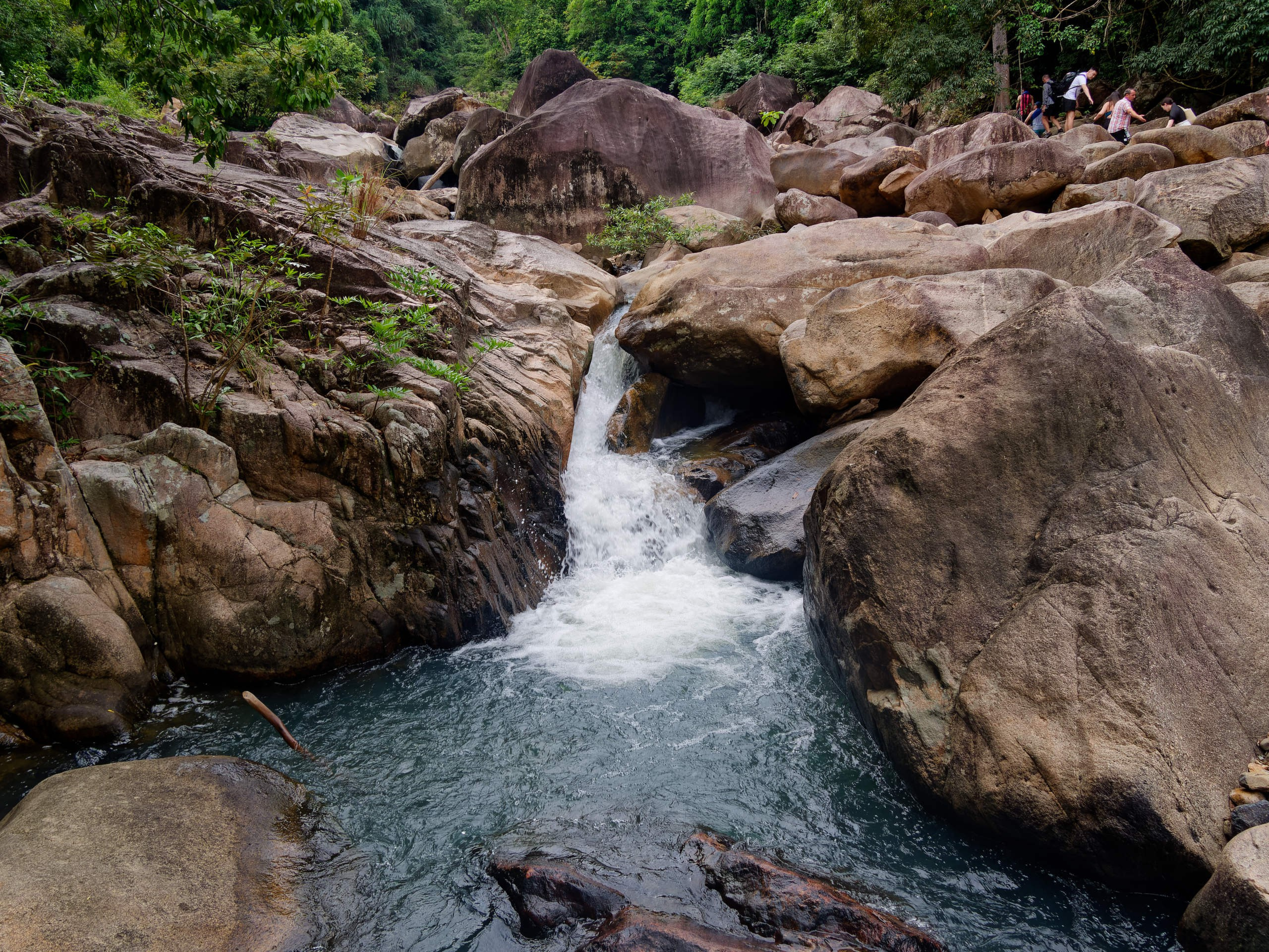 Нячанг 2025 (5). Избранные фотографии