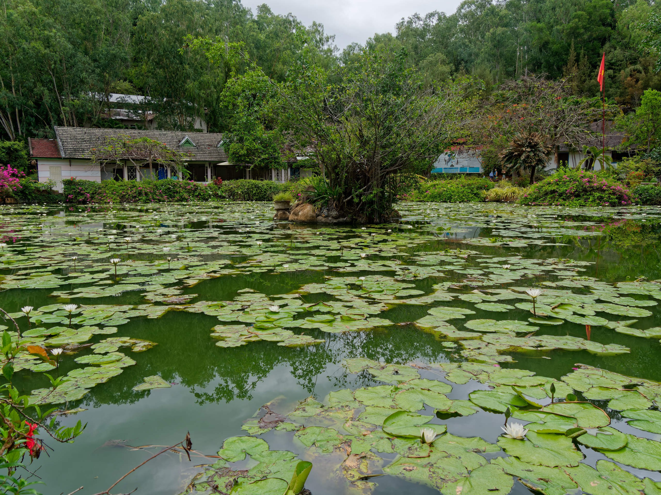 Нячанг 2025 (4). Избранные фотографии