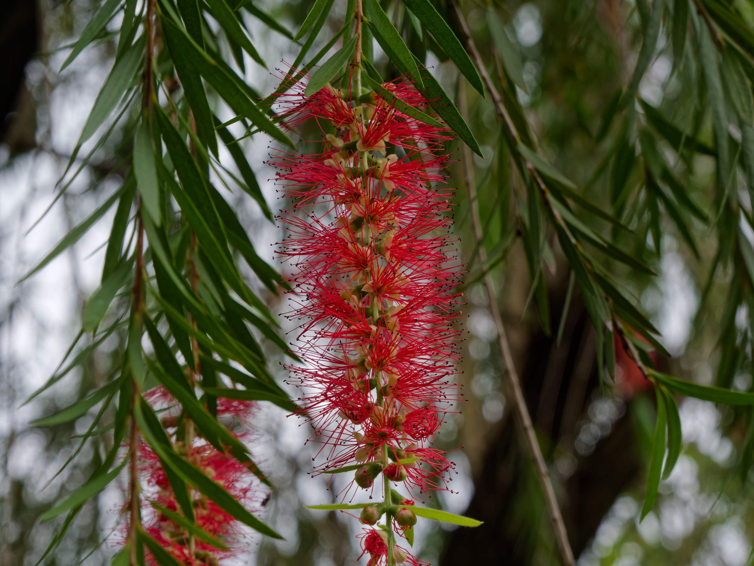 Нячанг 2025 (4). Избранные фотографии