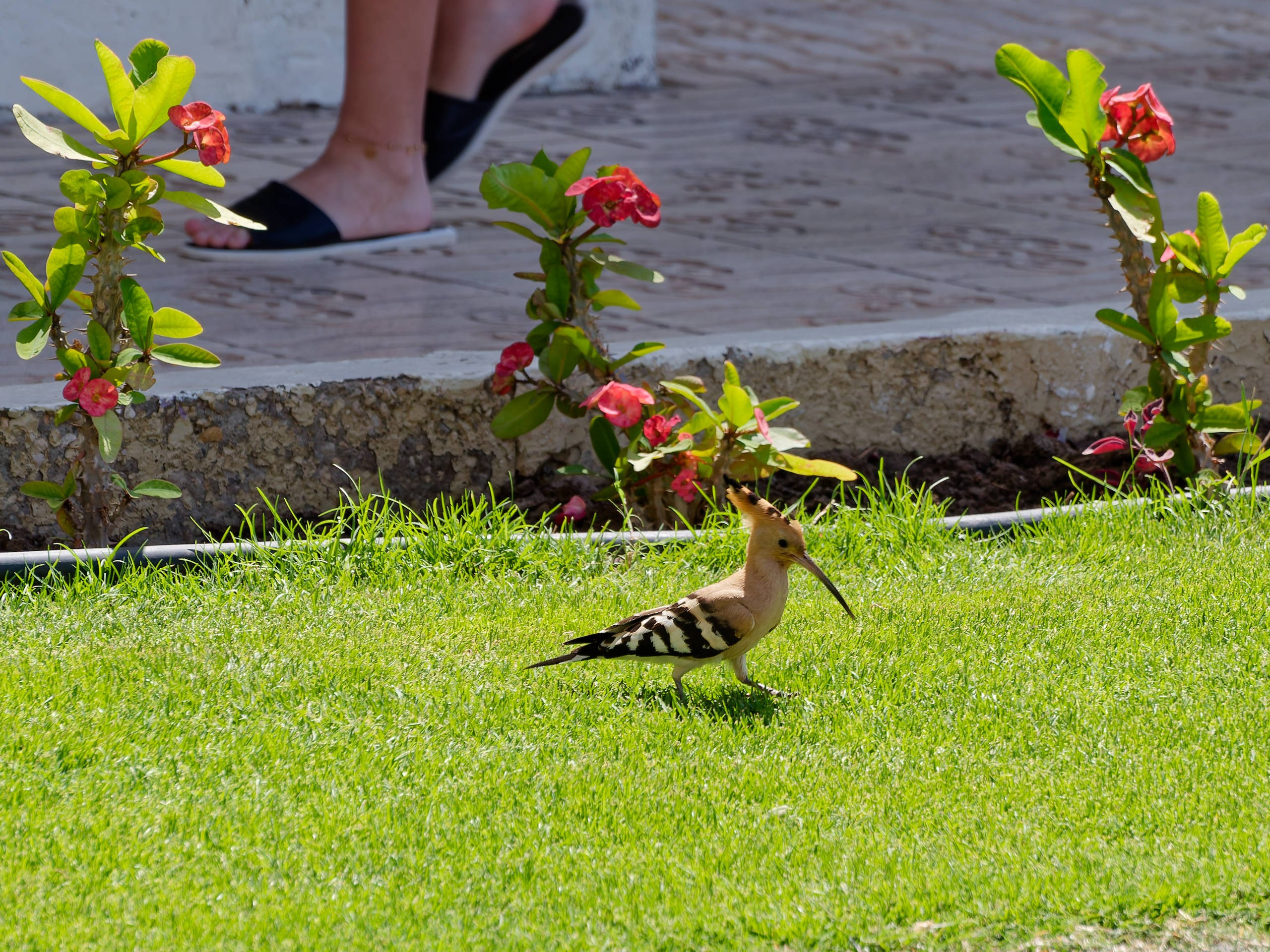 Шарм-эль-Шейх 2022 (1). Избранные фотографии