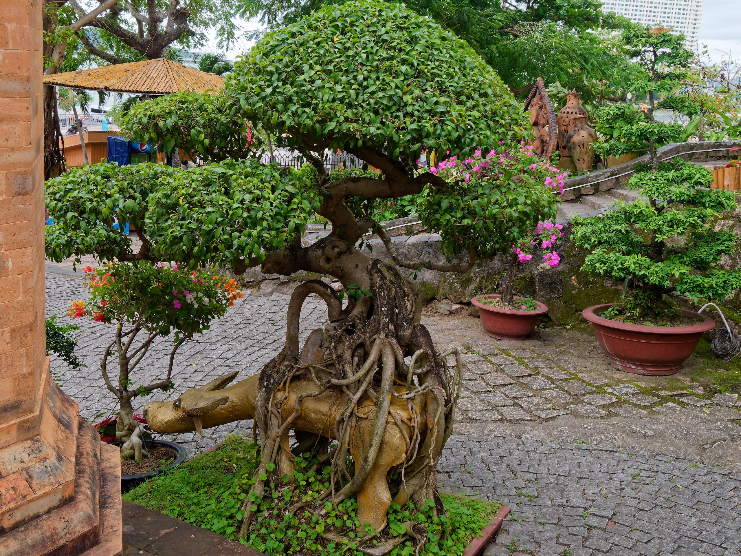 Нячанг 2025 (4). Избранные фотографии