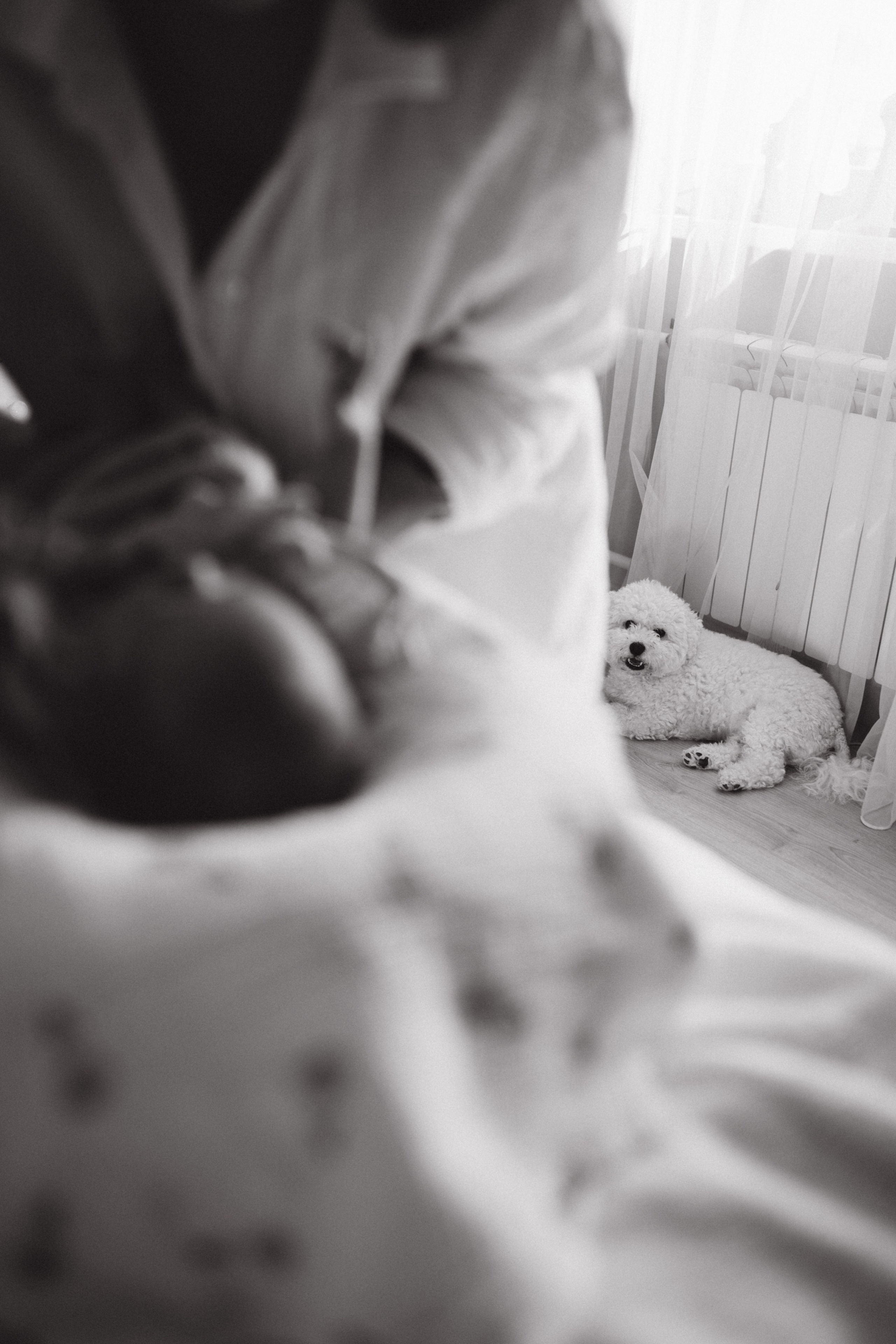 Агата. Семейный фотограф в Москве и Люберцах Юлия Гуськова