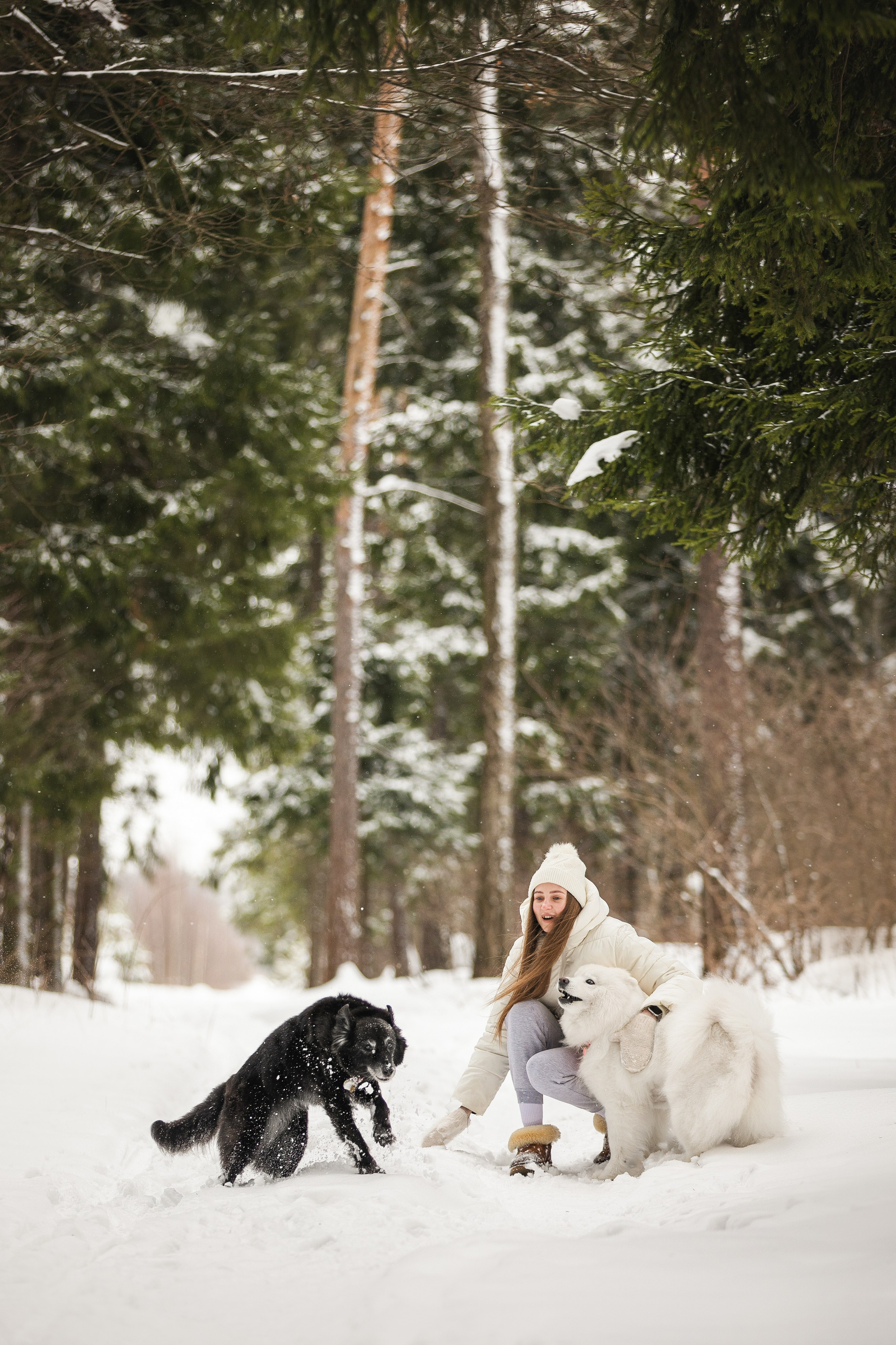 Валя, Варя и Лада. Фотограф анималист в Москве Майорова Евгения