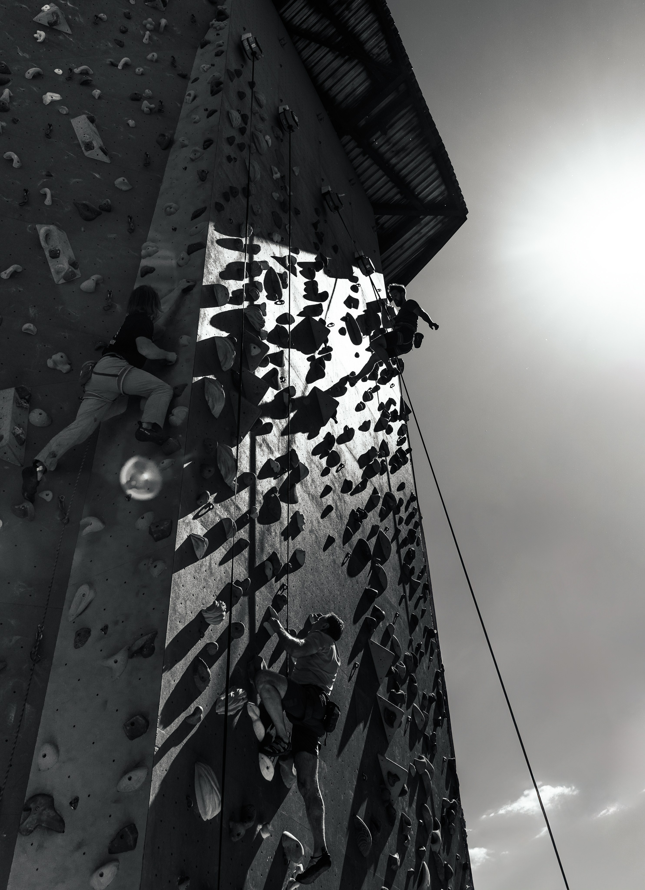 Landscape+. Arseny Sapelkin