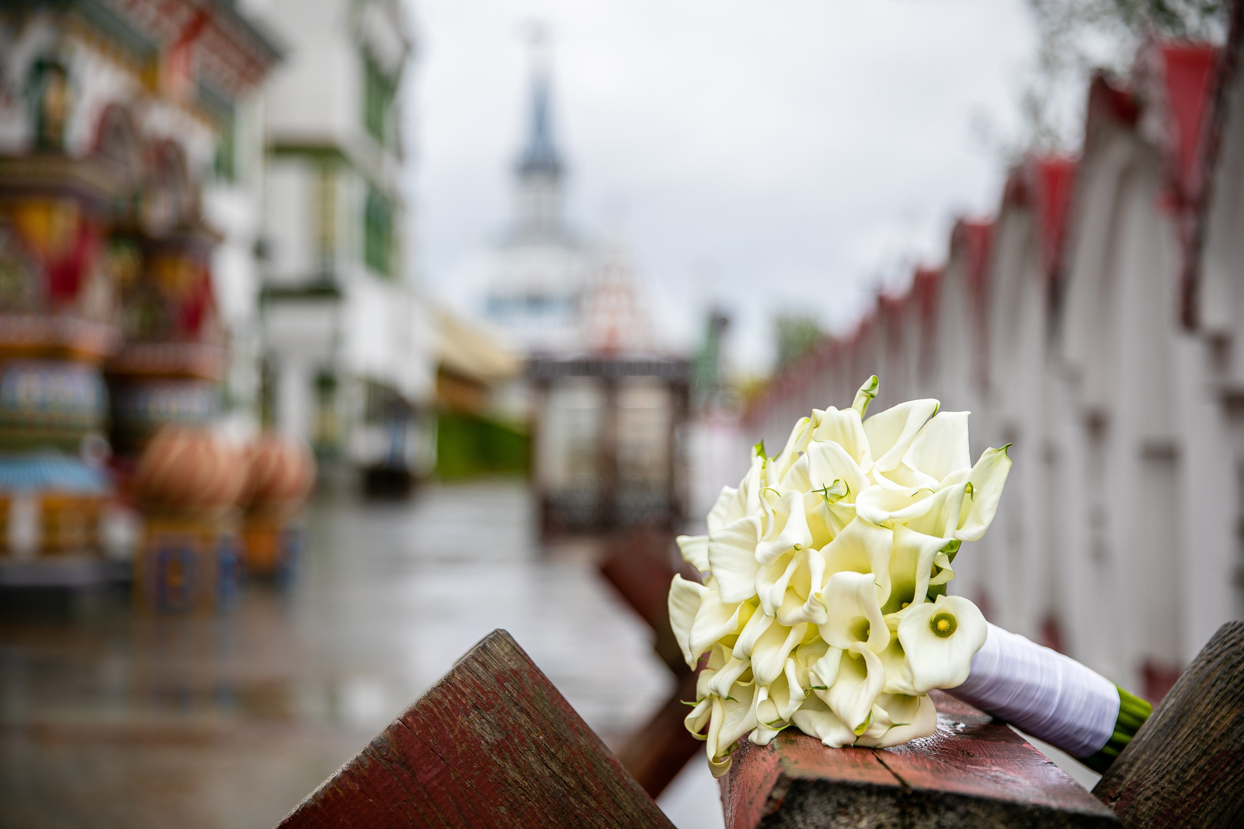 Александр и Анна. Фотограф FOTOBANKA