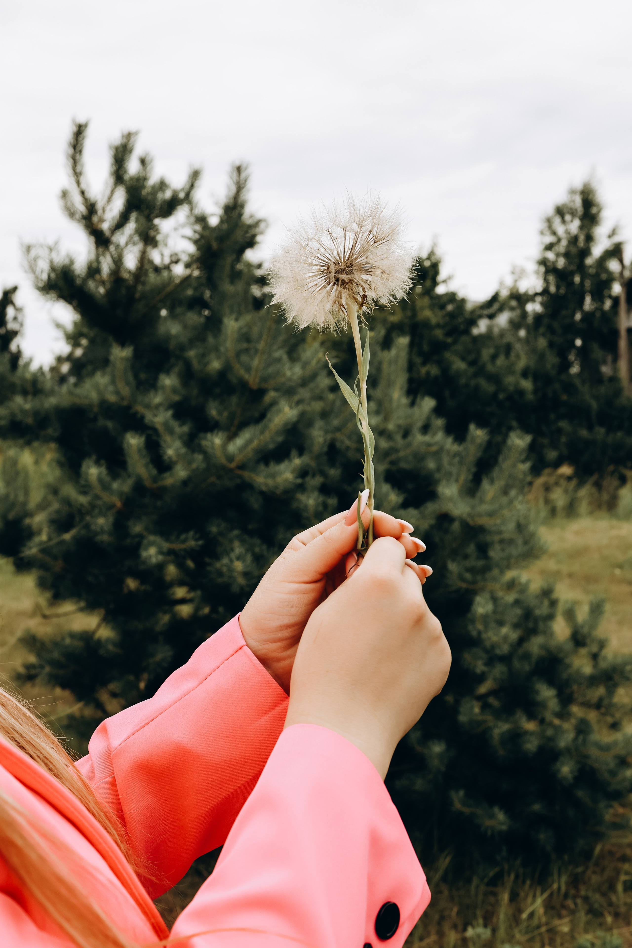 Кристина. Свадебный и семейный фотограф в Воронеже Ксения Воротникова