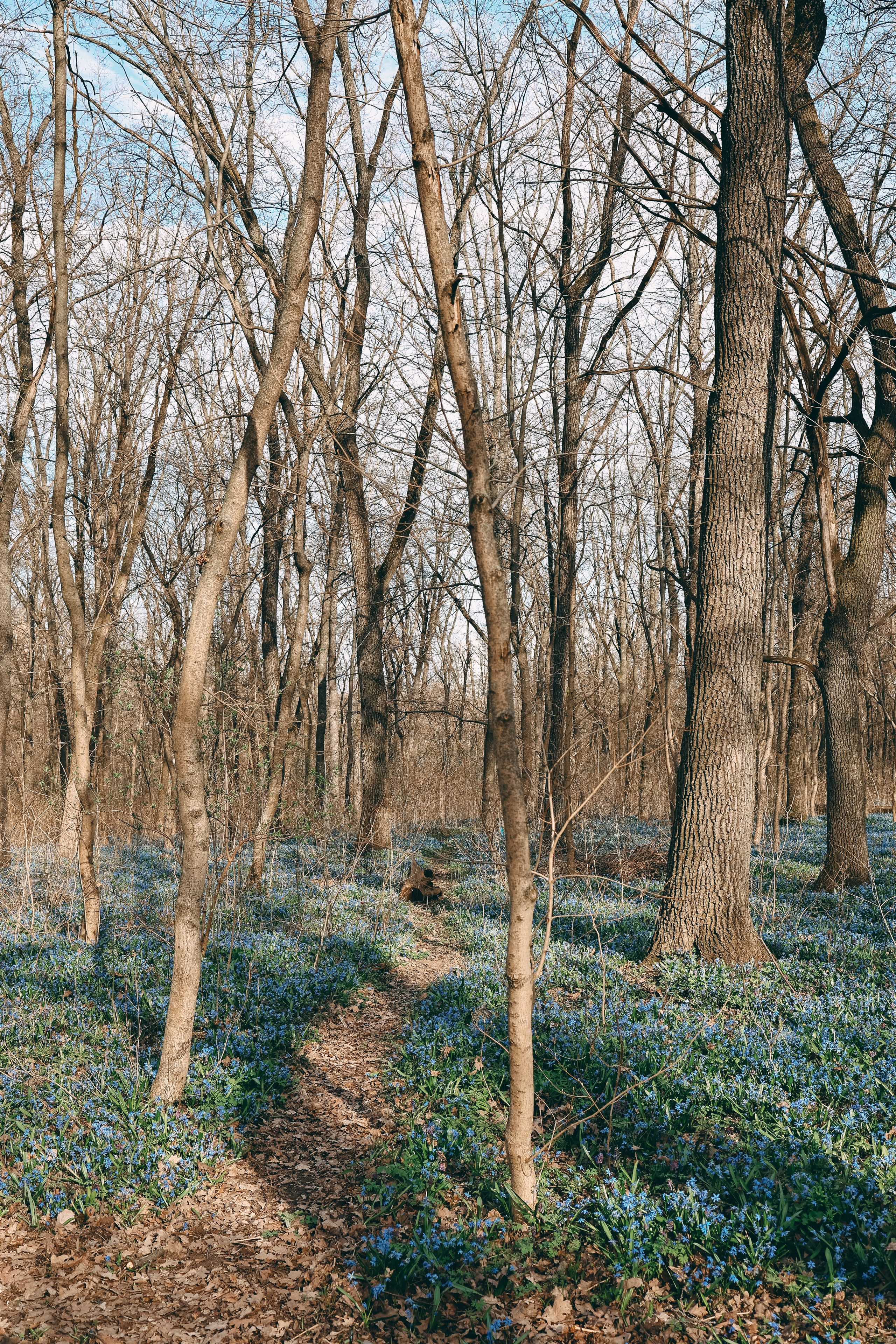 Маргарита, Василиса и Сергей. Свадебный и семейный фотограф в Воронеже Ксения Воротникова