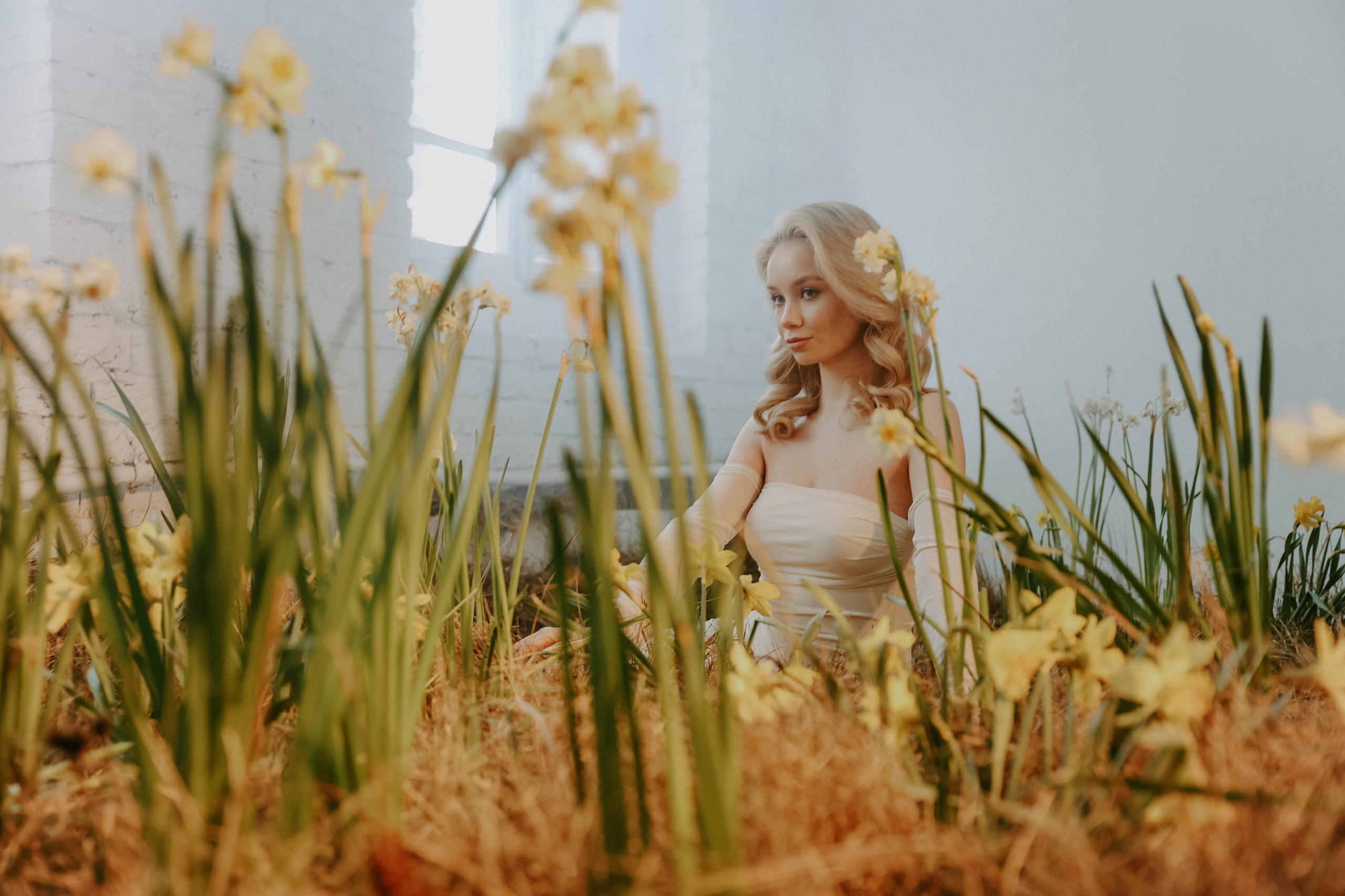 Весна. Нарциссы. Фотограф в Москве и любой точке земного шара Алёна Вялова (Чулкова)