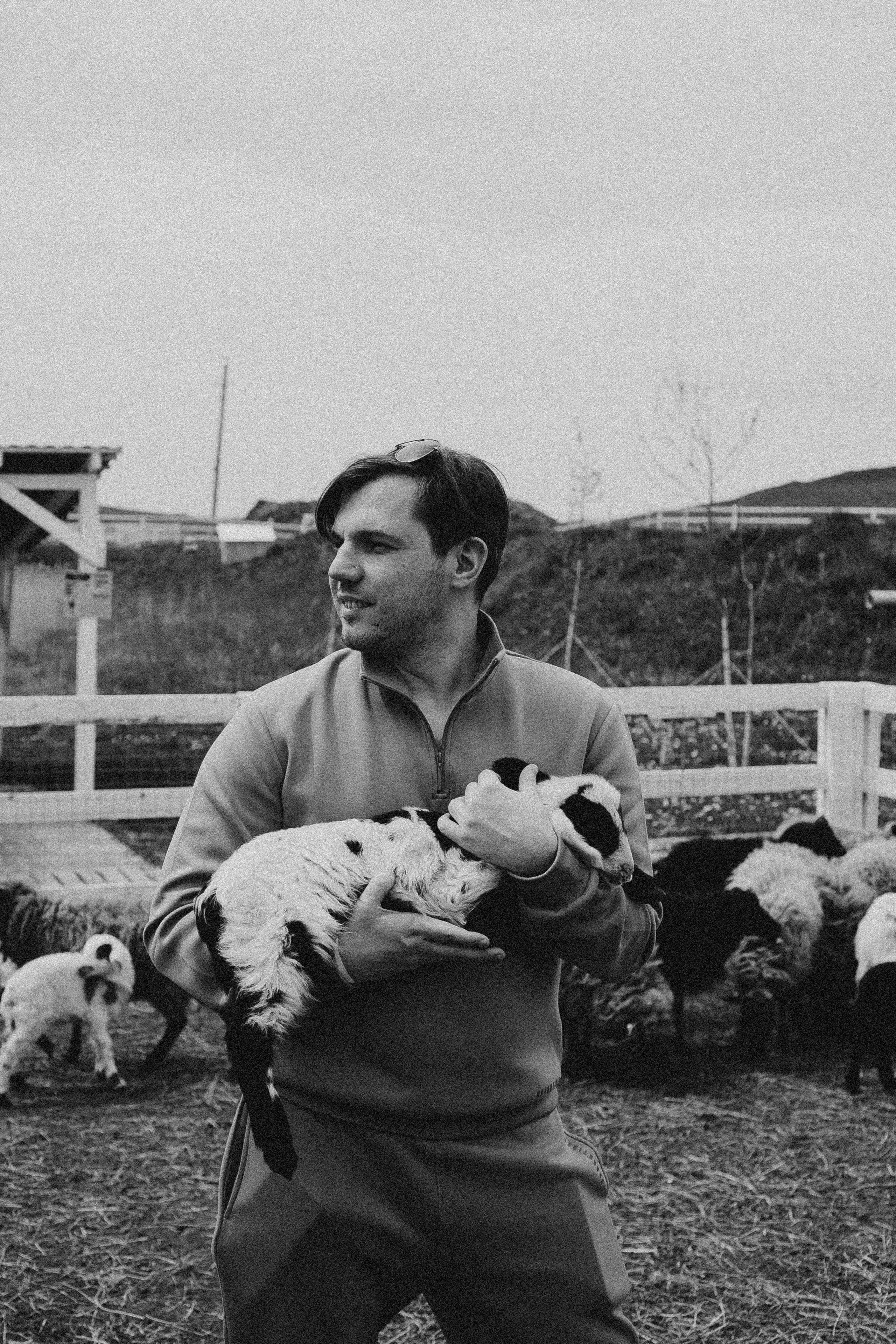 Ферма Альпак. Профессиональный фотограф, Санкт-Петербург — Виктория Богомолова