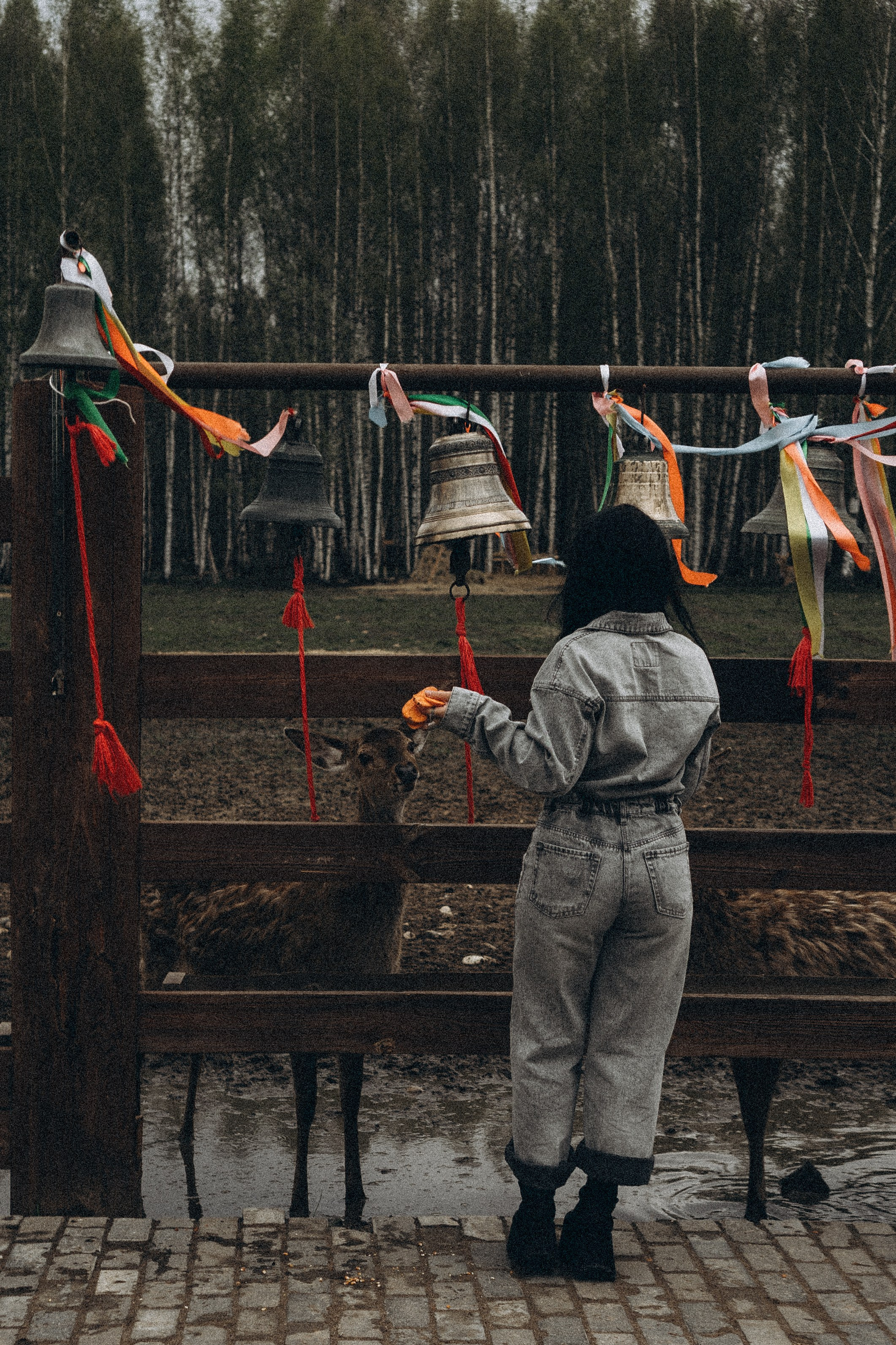 ОЛЕНЬЯ ФЕРМА В ТВЕРИ. Профессиональный фотограф, Санкт-Петербург — Виктория Богомолова