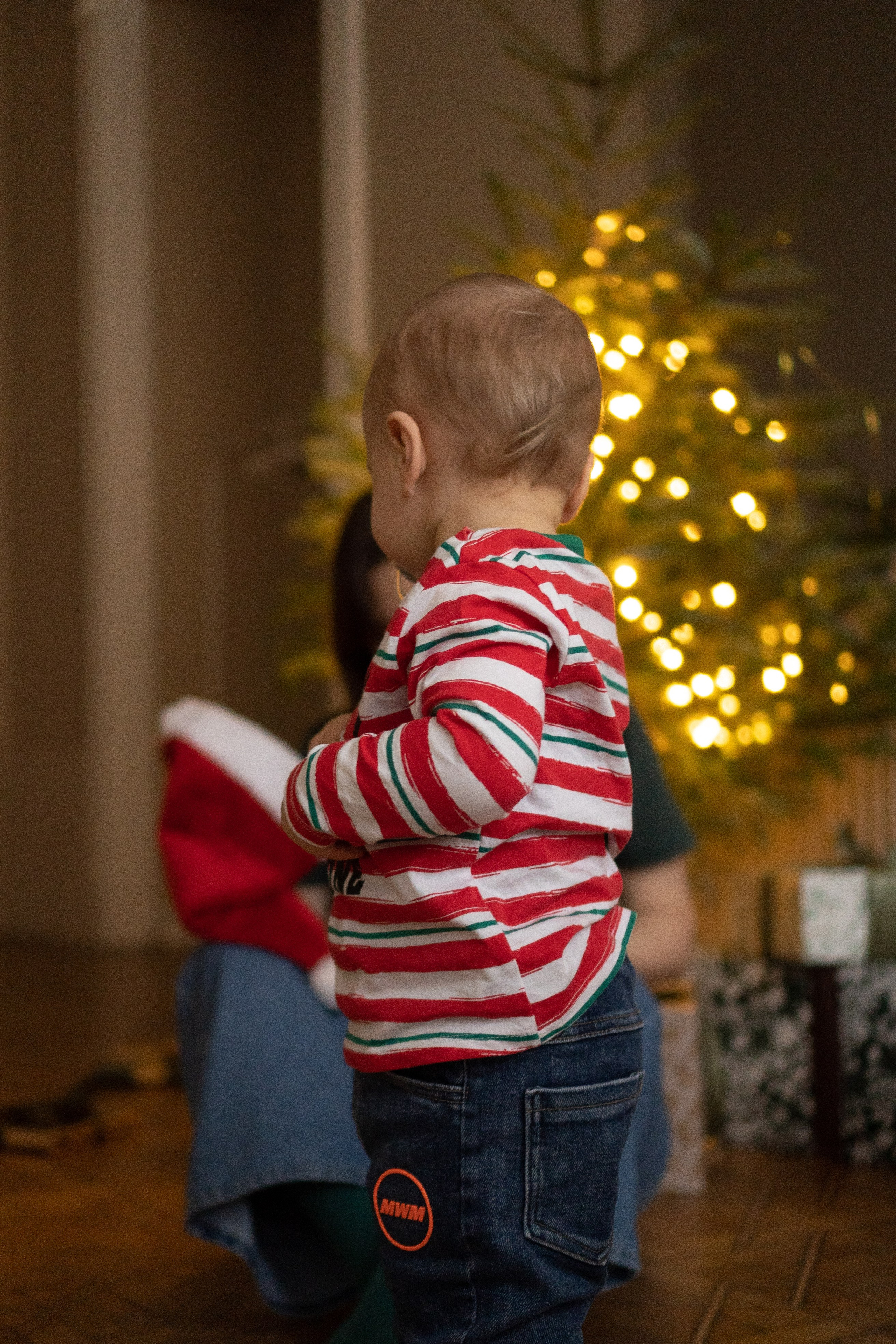 НОВОГОДНЯЯ В СТУДИИ. Профессиональный фотограф, Санкт-Петербург — Виктория Богомолова
