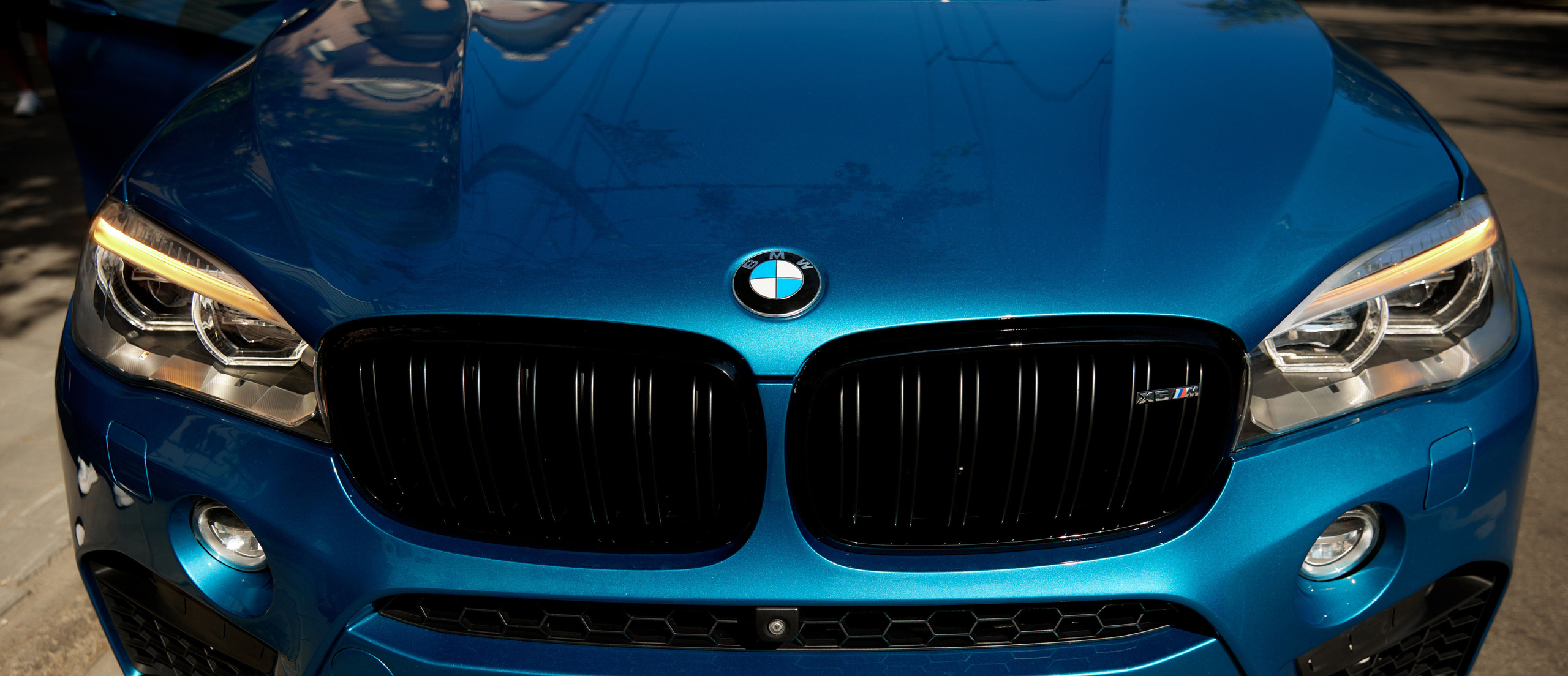 DIMA & KATYA. Профессиональный фотограф Светлана Писарева