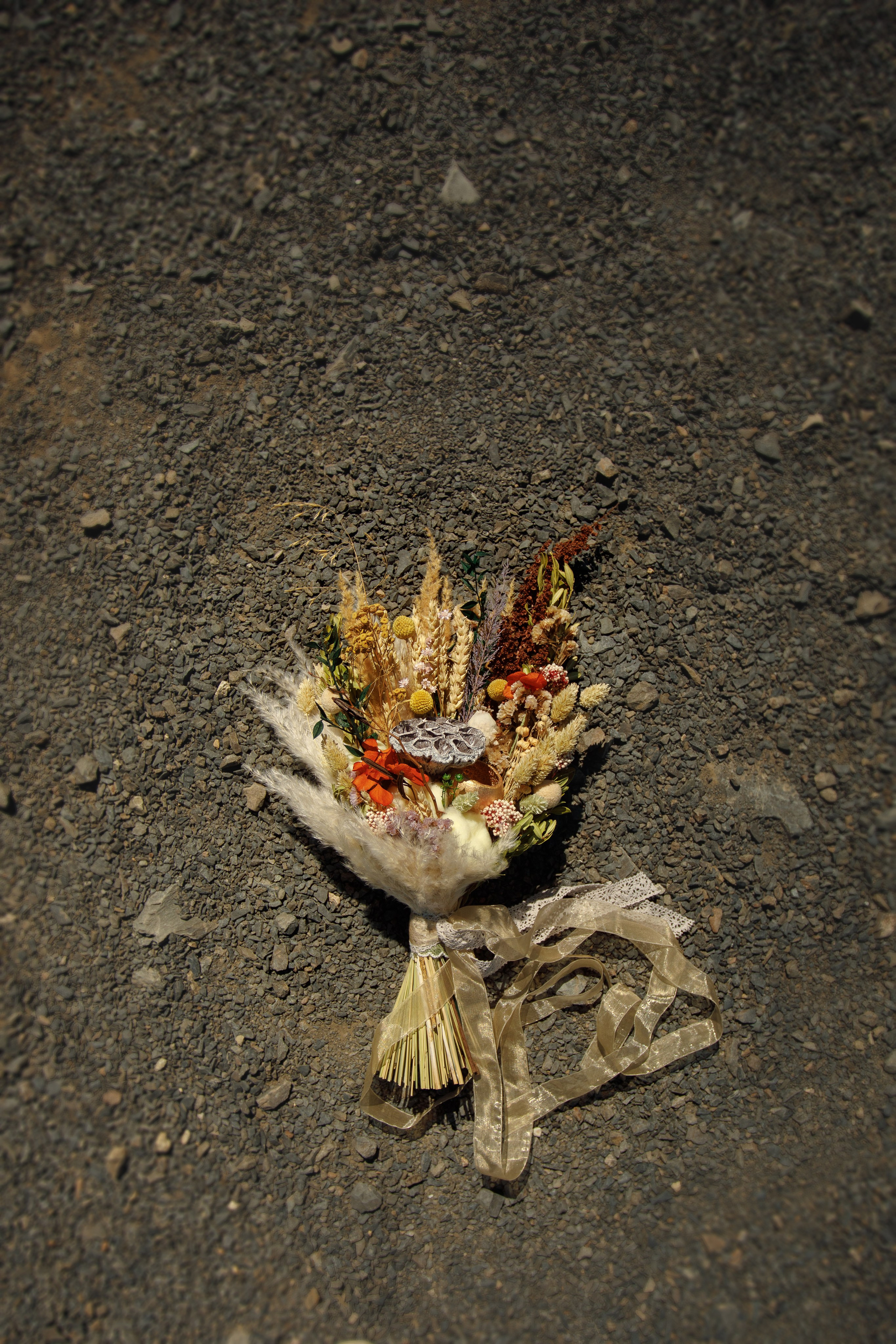 Сочи Белла и Миша. Марковкина КрисТина