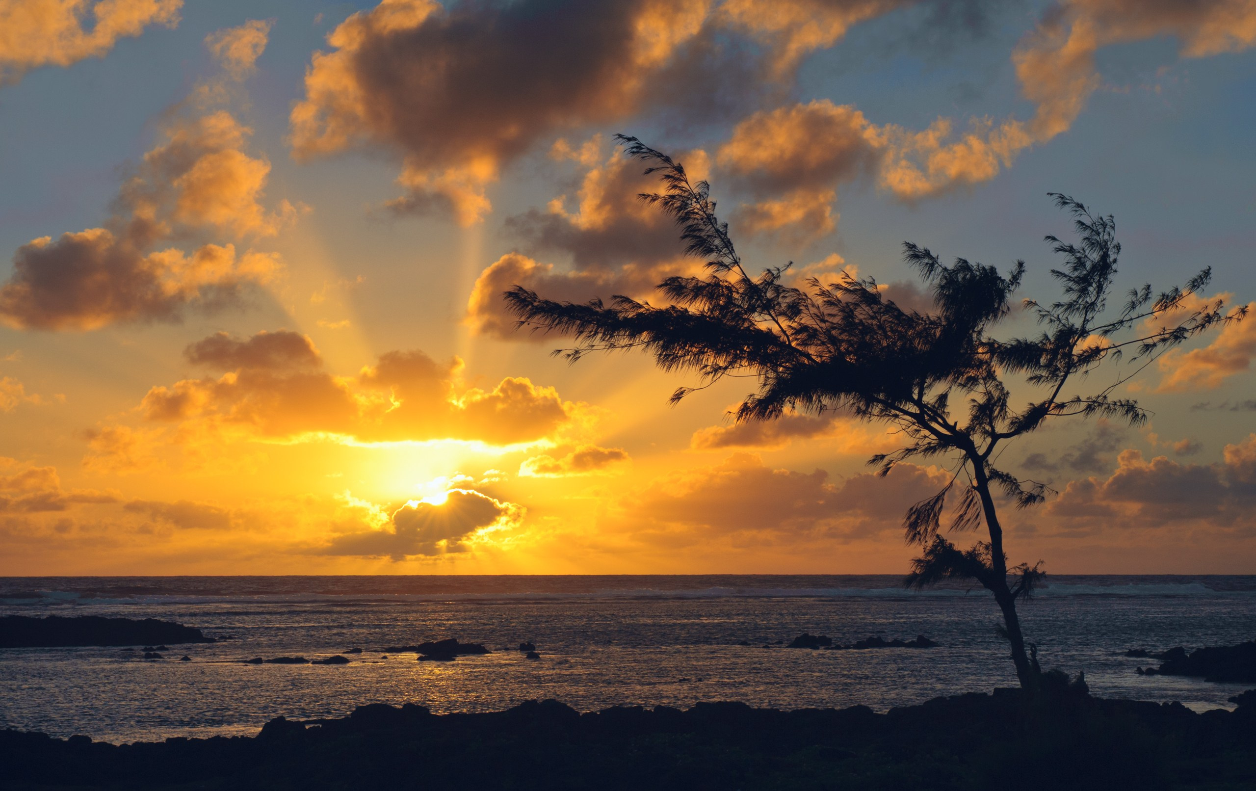 Пейзажная фотография. Авторские стильные фотокартины